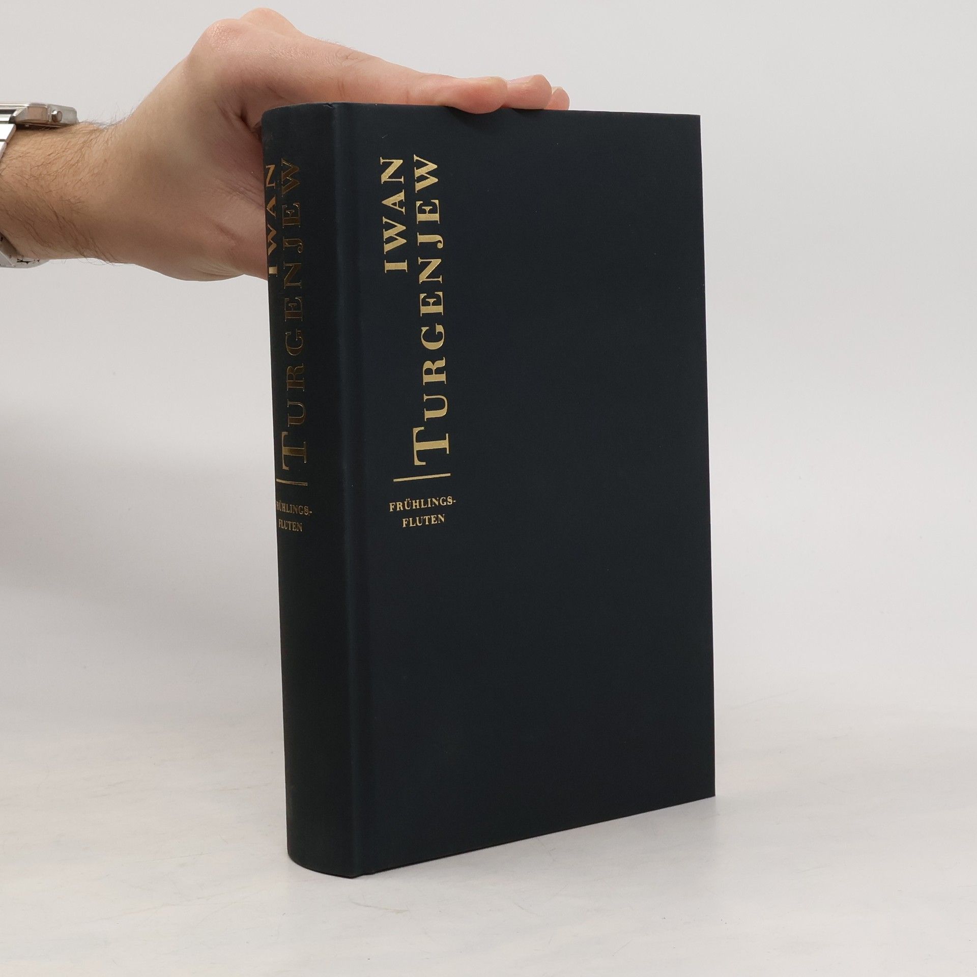 Ivan Sergejevič Turgenev Frühlingsfluten