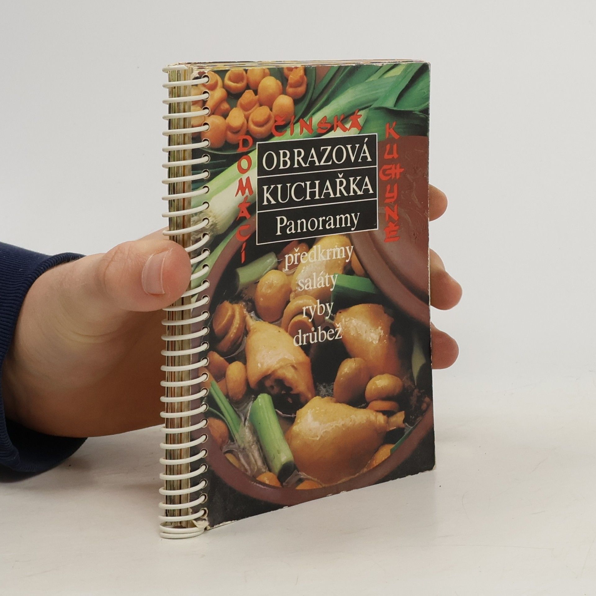 Obrazová kuchařka Panoramy III. Domácí čínská kuchyně