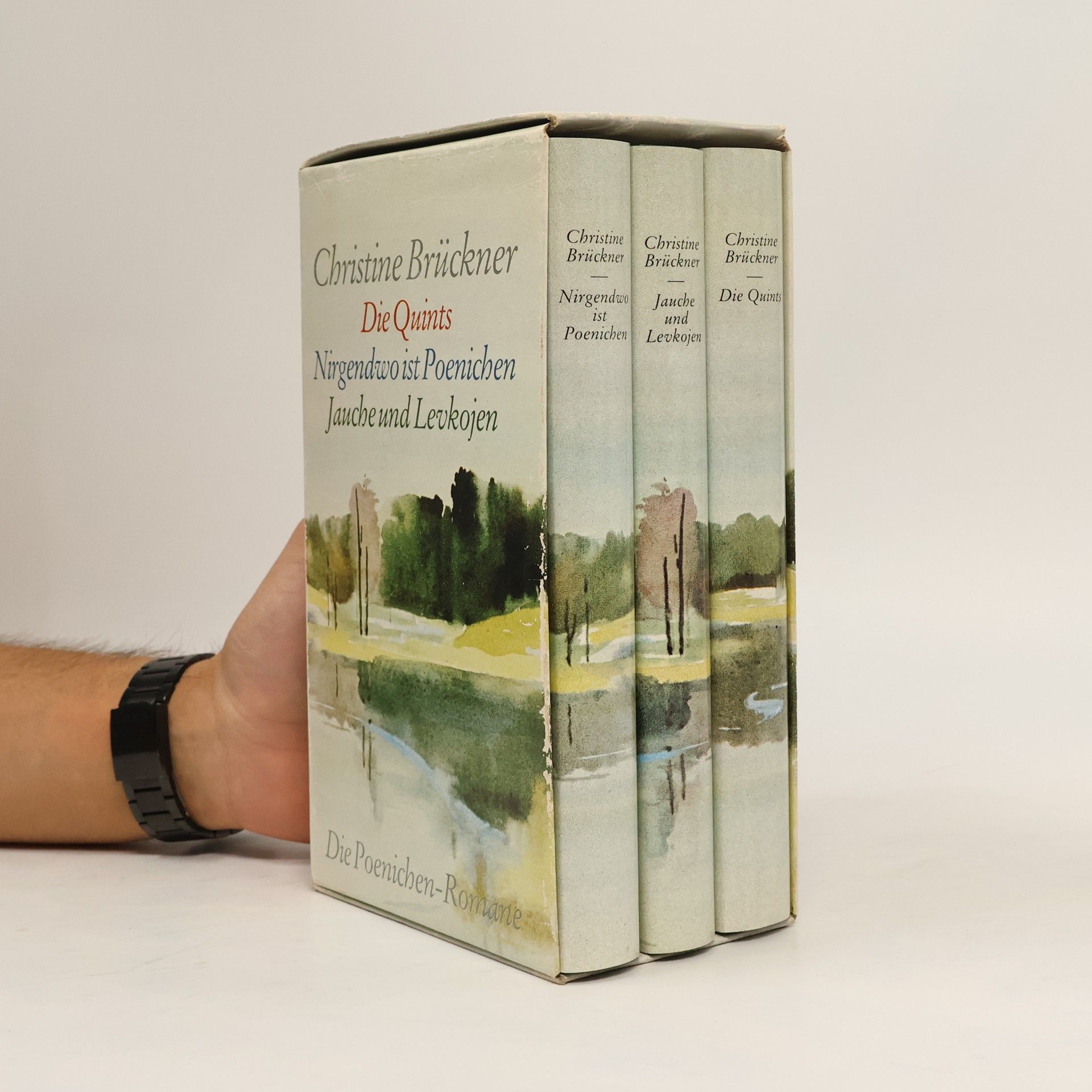 Die Quints. Nirgendwo ist Poenichen. Jauche und Levkojen