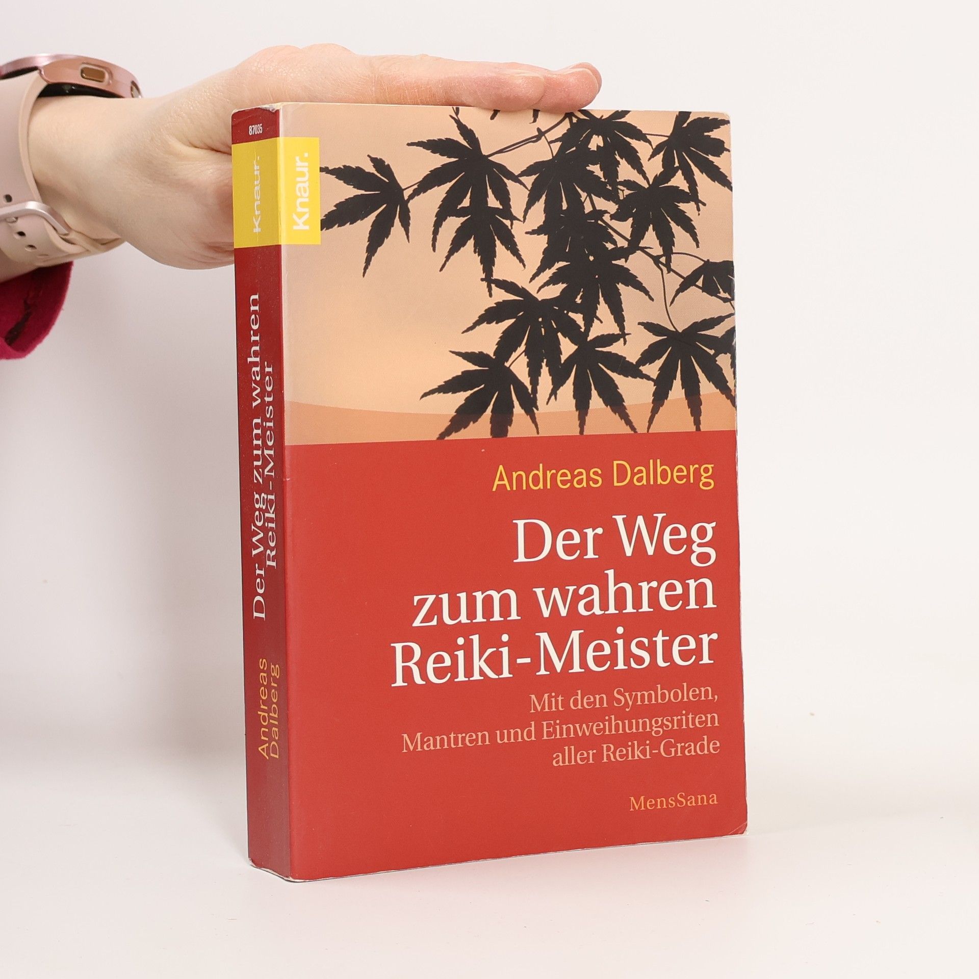 Der Weg zum wahren Reiki-Meister