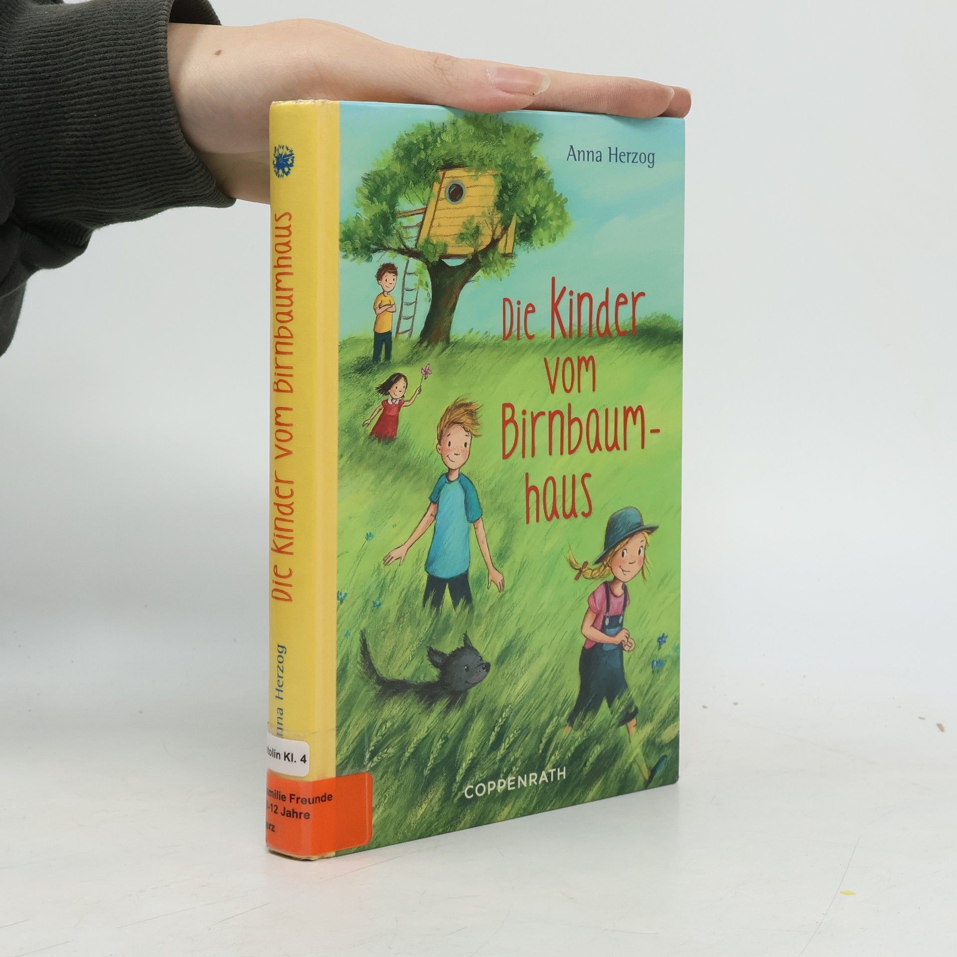 Anna Herzog Die Kinder vom Birnbaumhaus