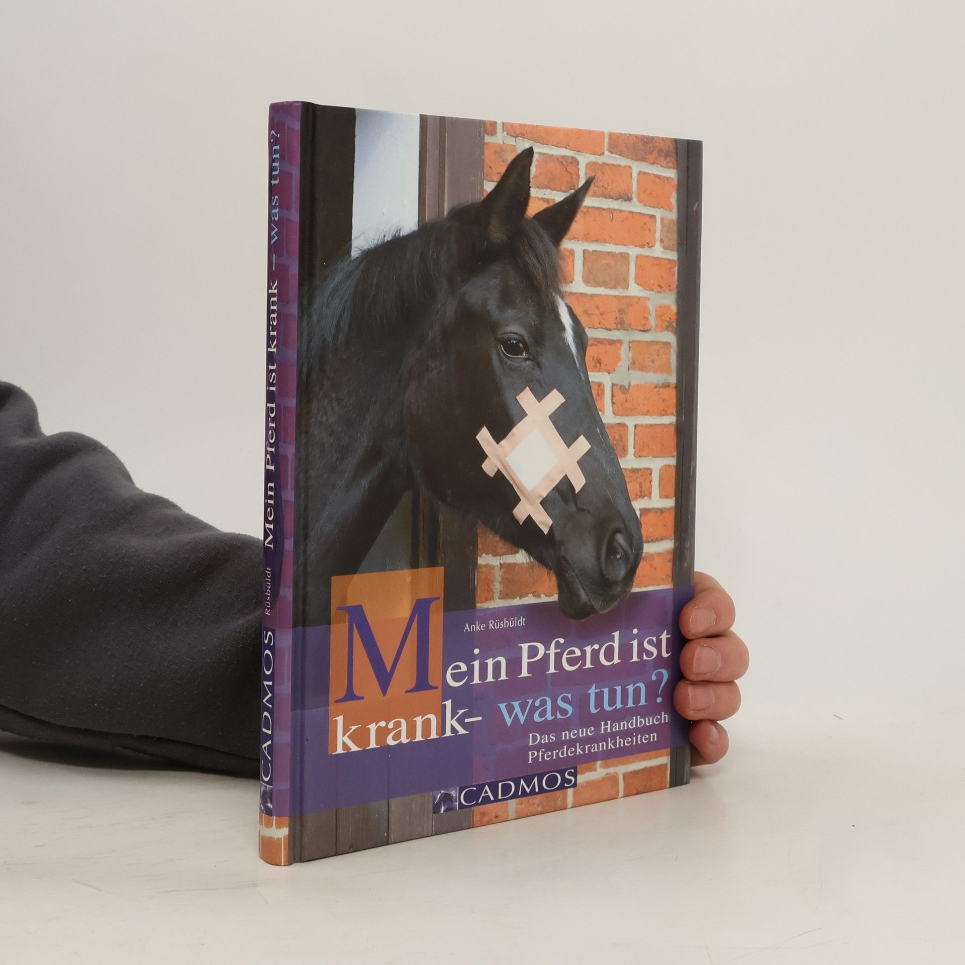 Anke Rüsbüldt Mein Pferd ist krank - was tun?