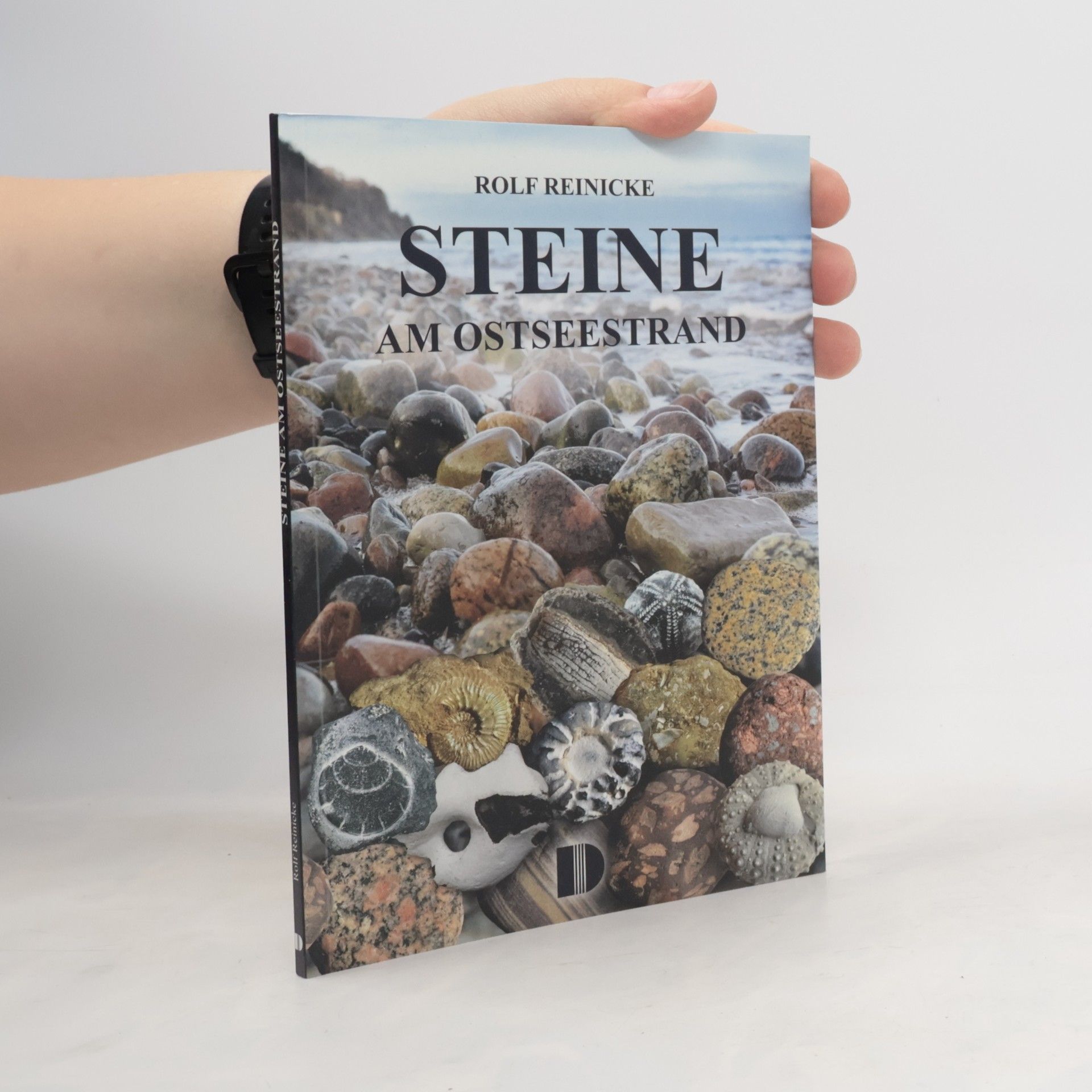 Rolf Reinicke Steine am Ostseestrand