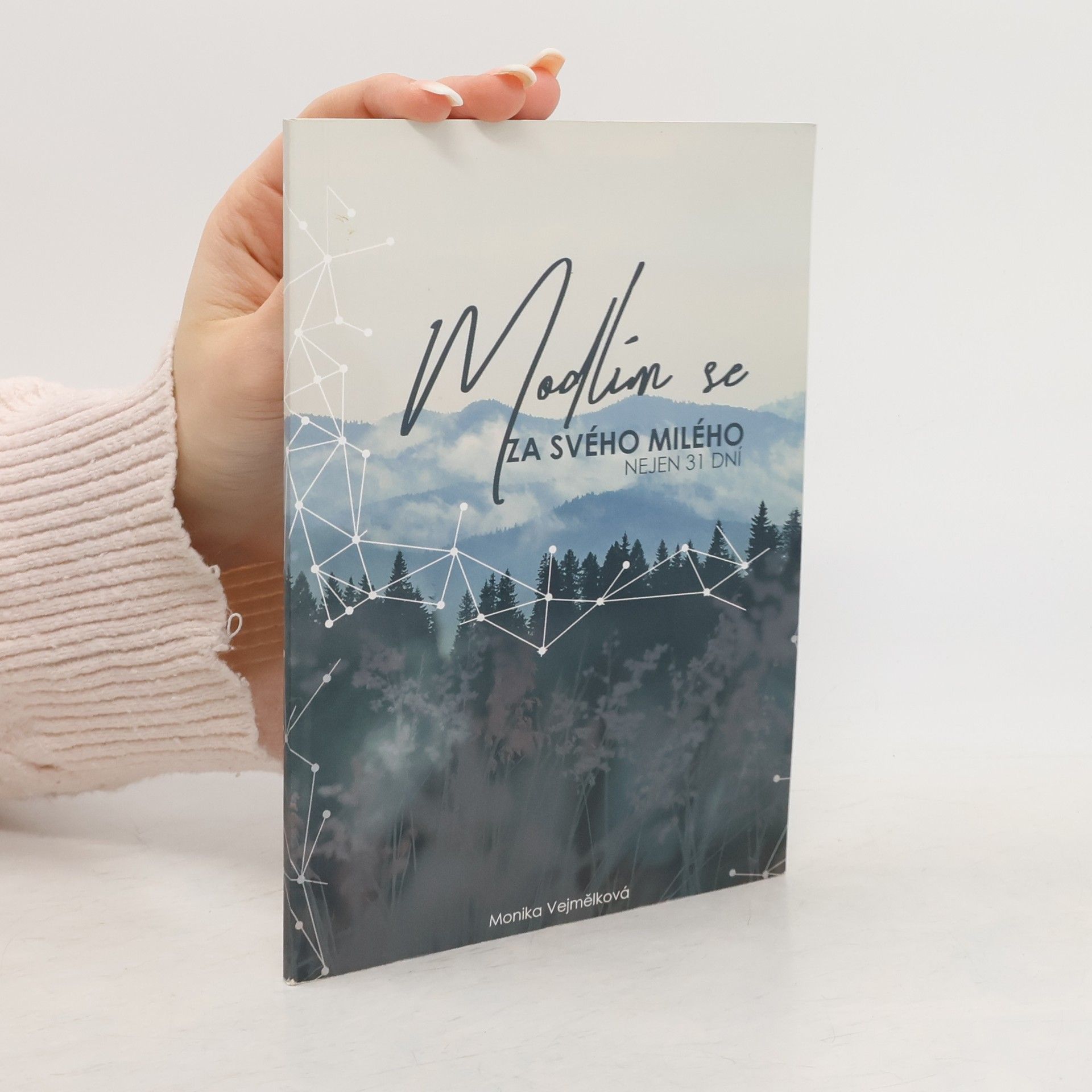 Modlím se za svého milého - nejen 31 dní