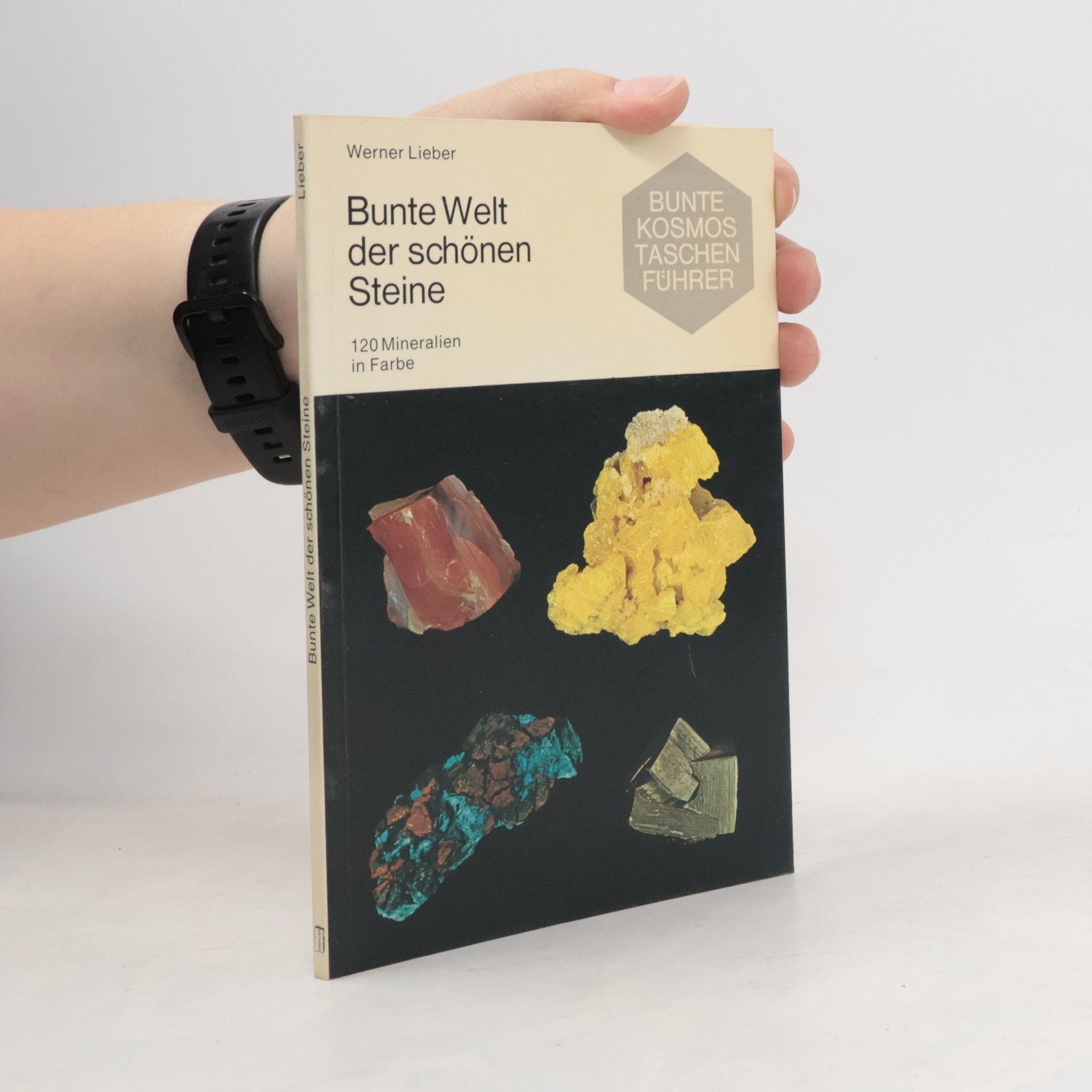 Werner Lieber Bunte Welt der schönen Steine