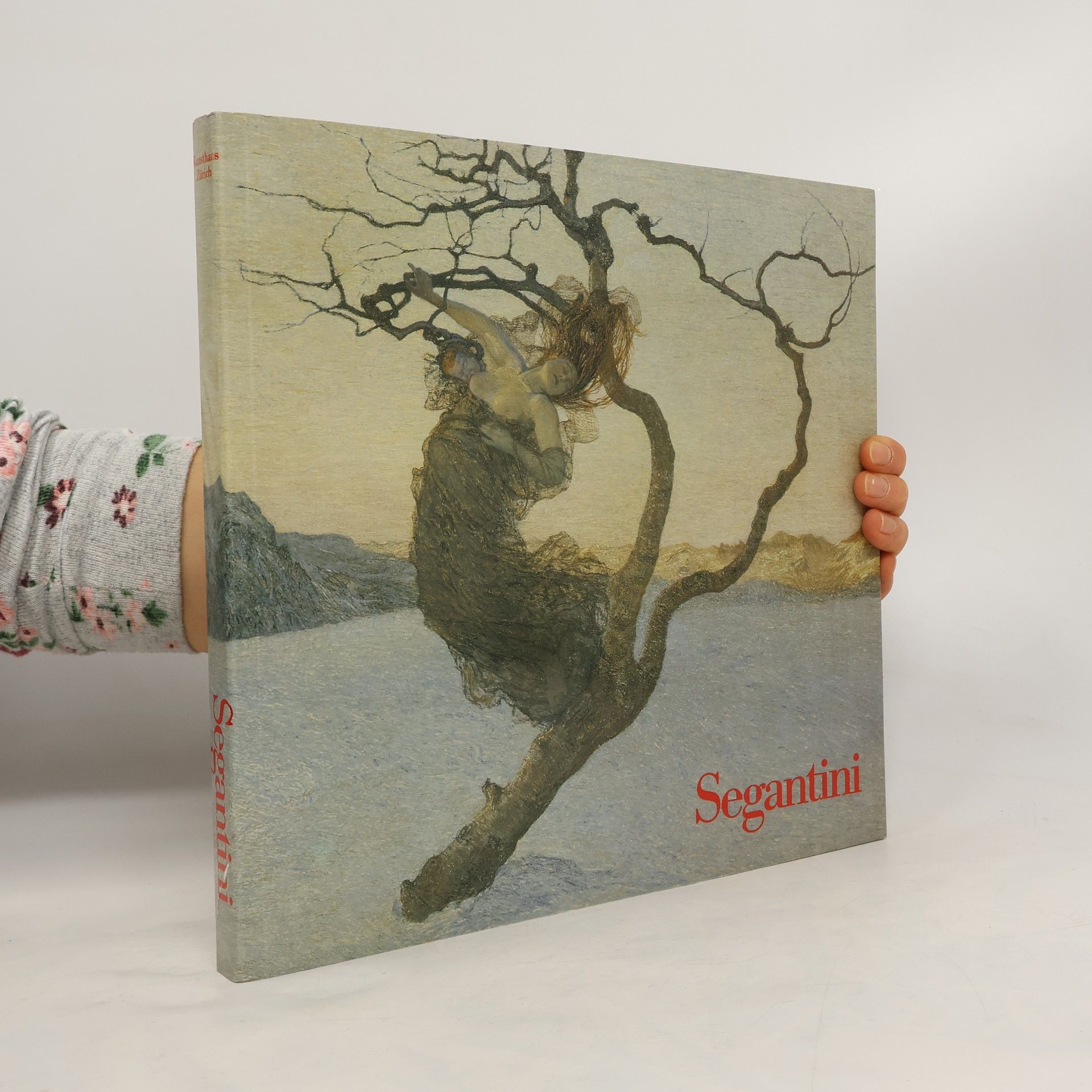 Auteurscollectief Segantini