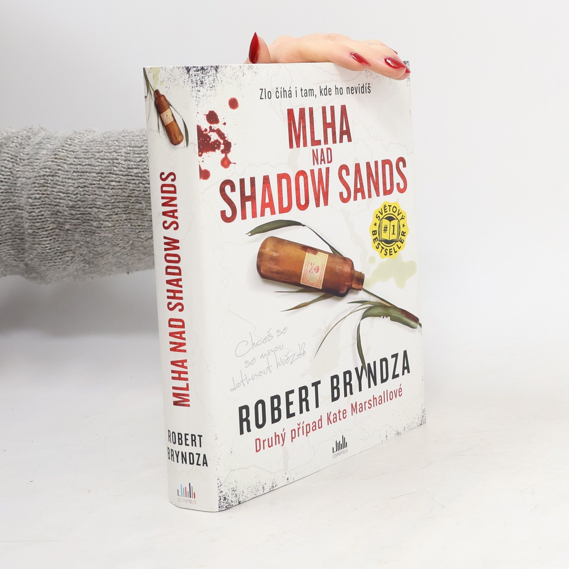 Robert Bryndza Mlha nad Shadow Sands