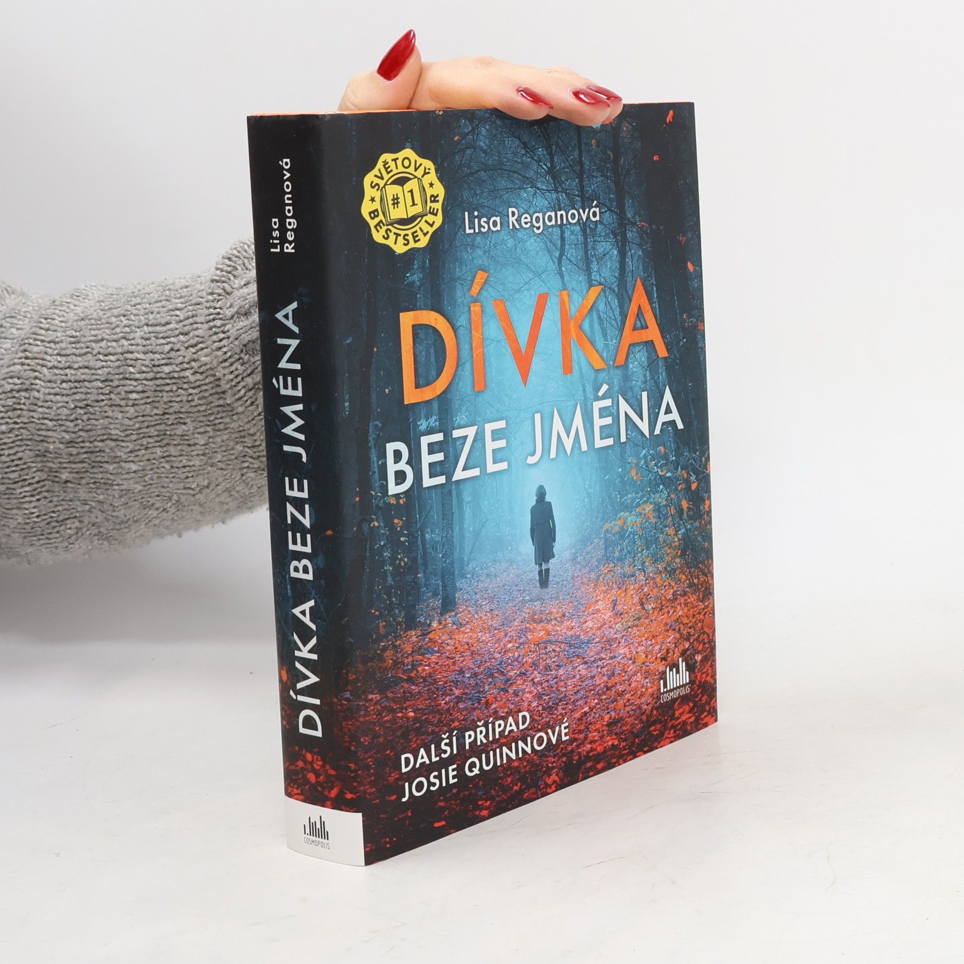 Lisa Regan Dívka beze jména: Další případ Josie Quinnové