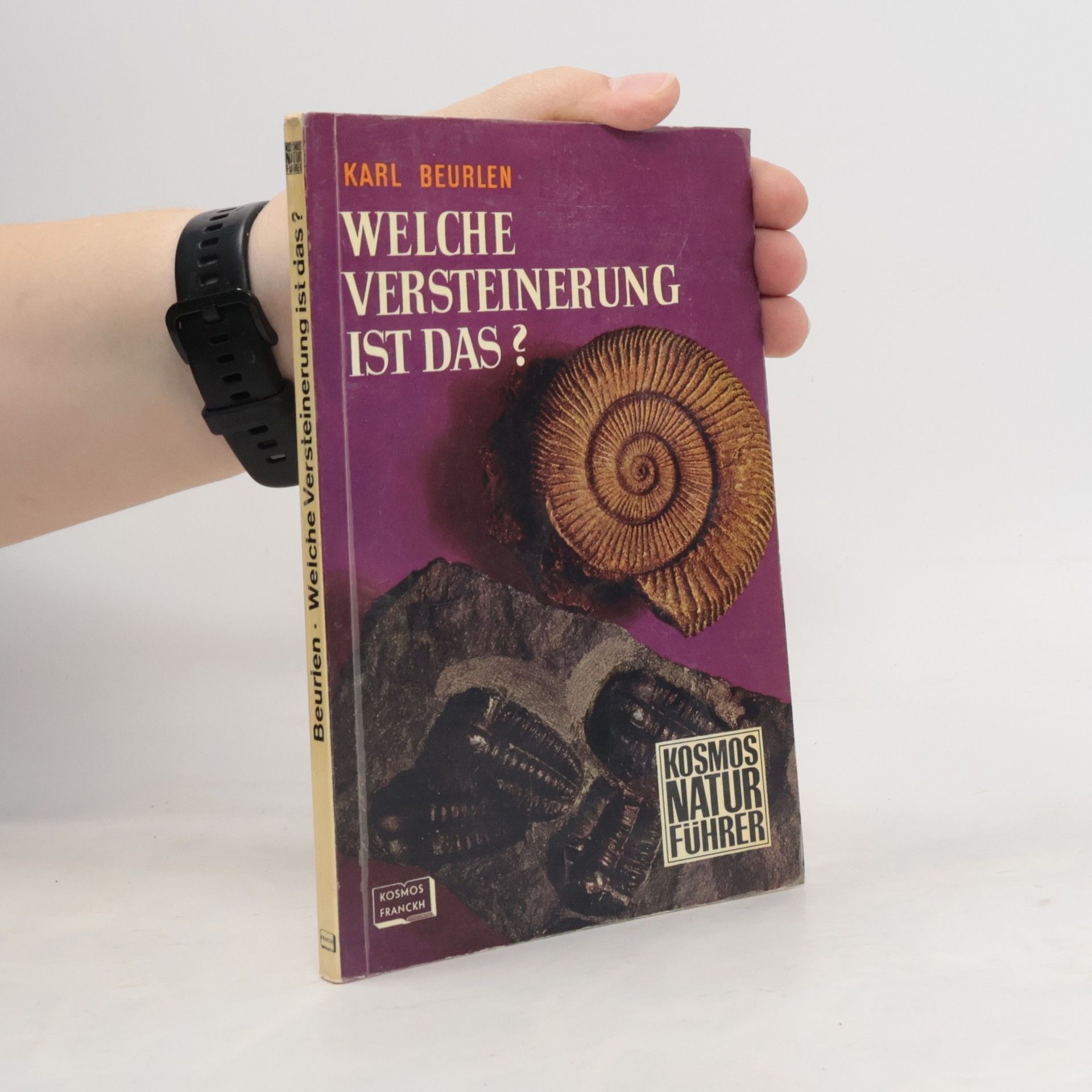 Karl Beurlen Welche Versteinerung ist das?