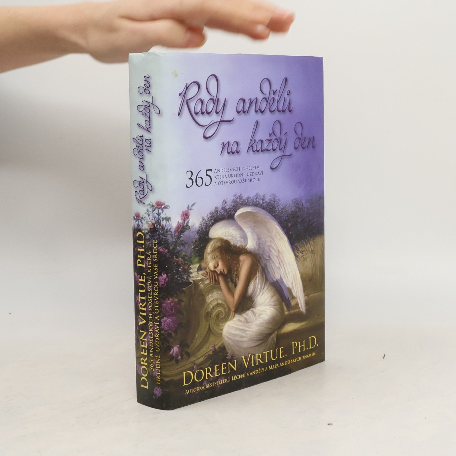 Doreen Virtue Rady andělů na každý den