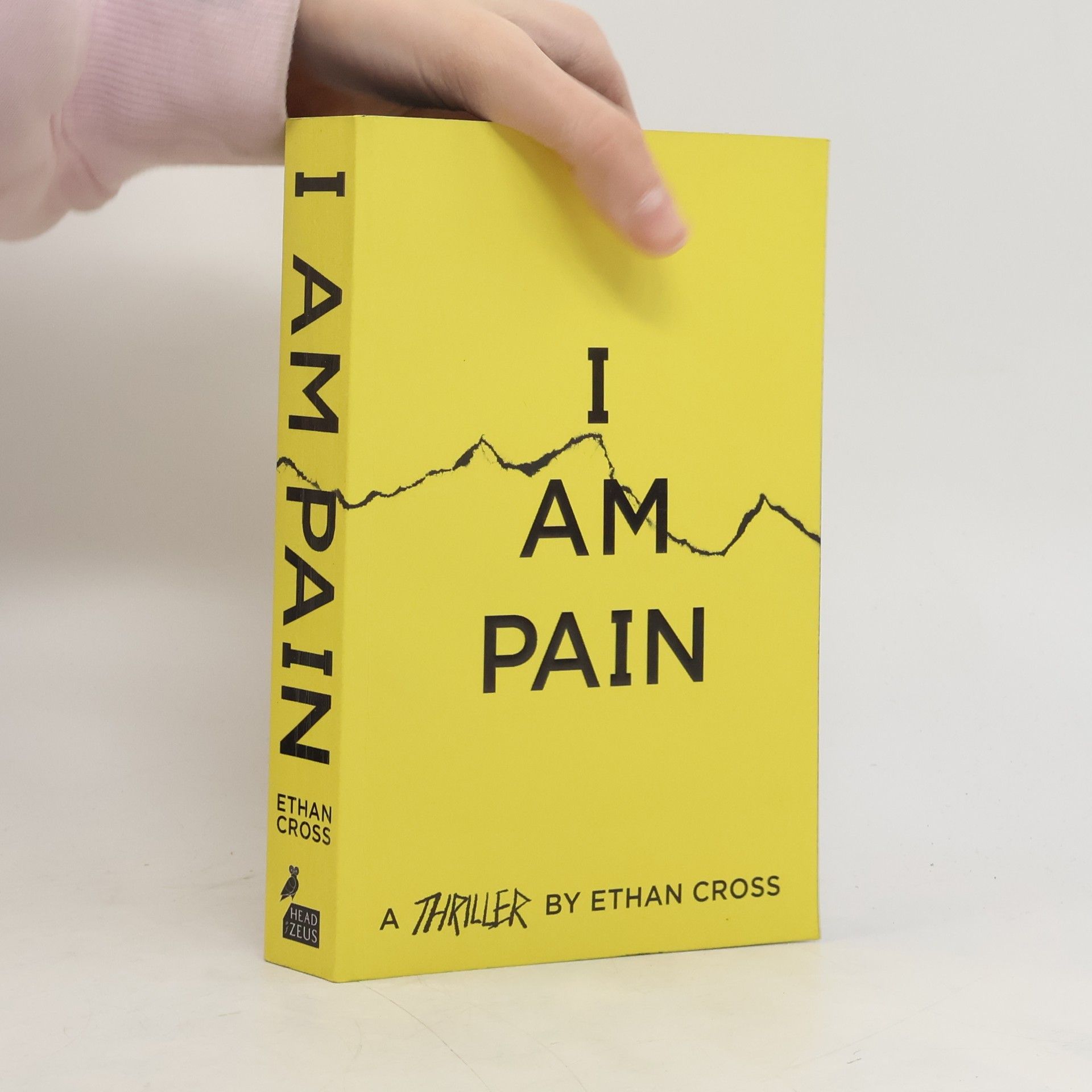 Ethan Cross I Am Pain