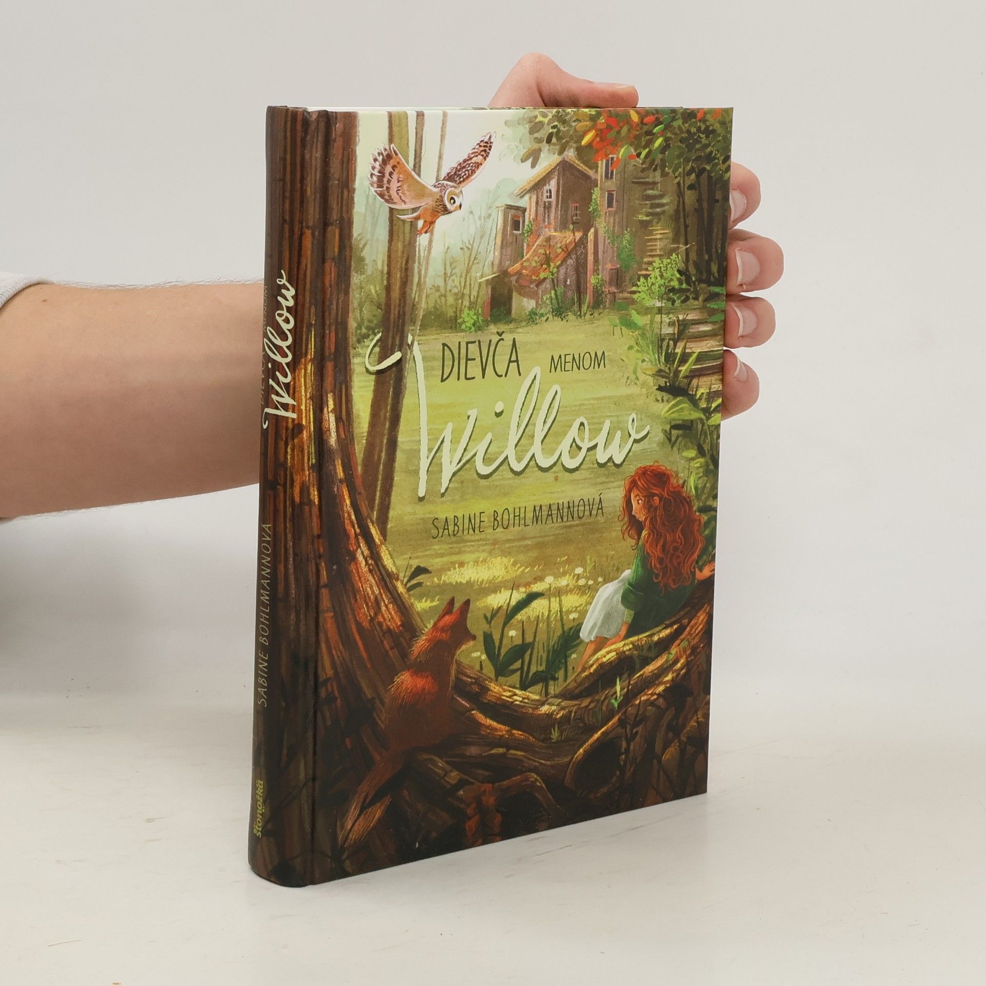 Sabine Bohlmann Dievča menom Willow