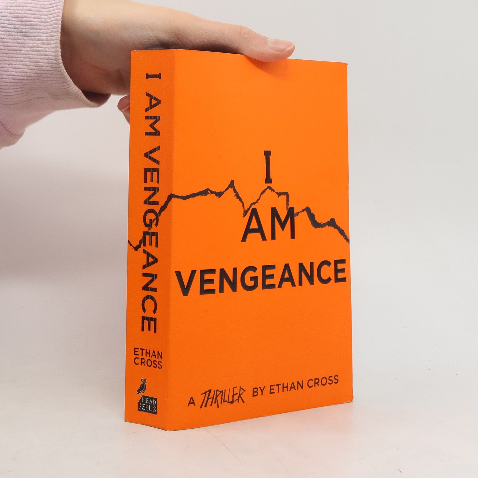 Ethan Cross I Am Vengeance