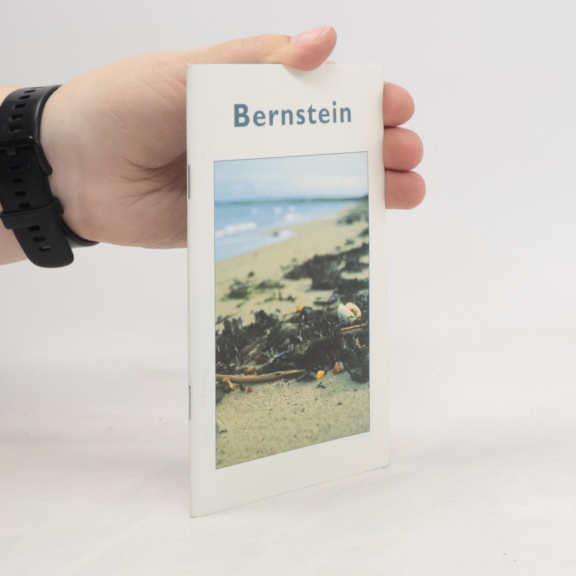 Manfred Kutscher Bernstein