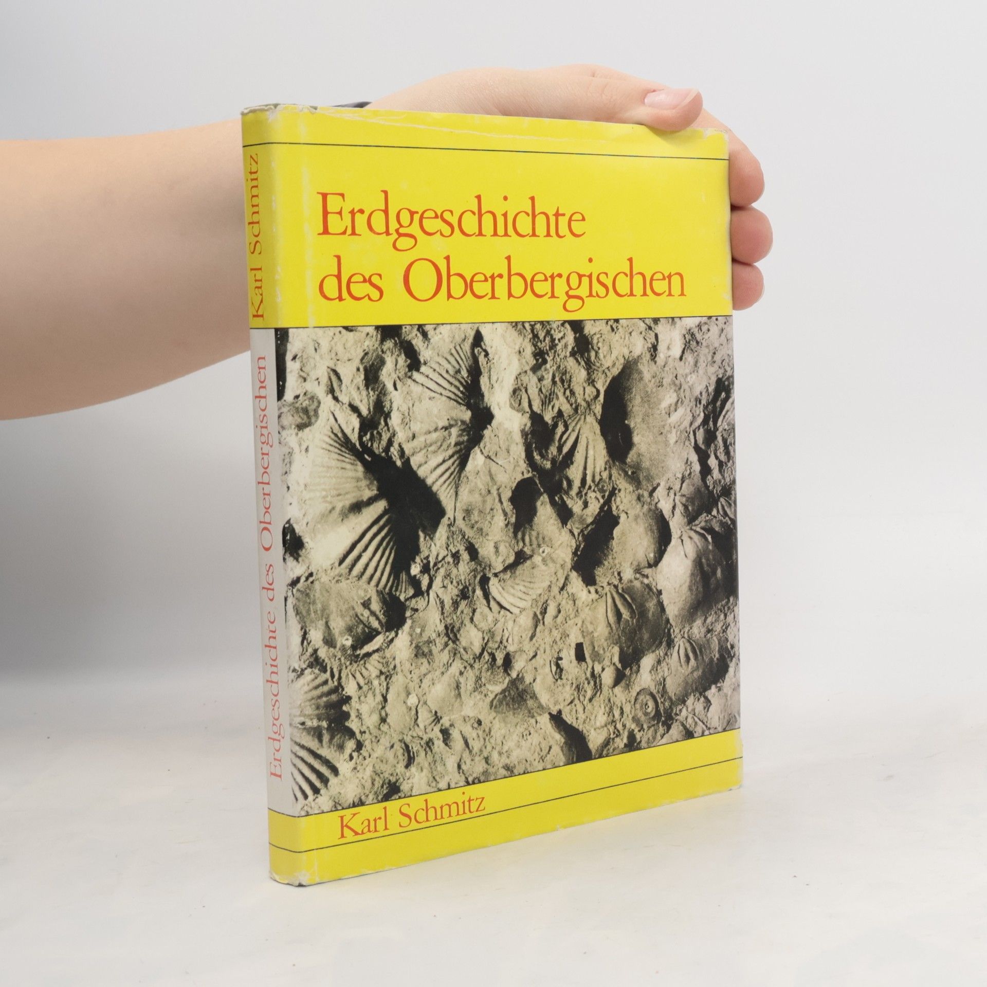 Erdgeschichte des Oberbergischen