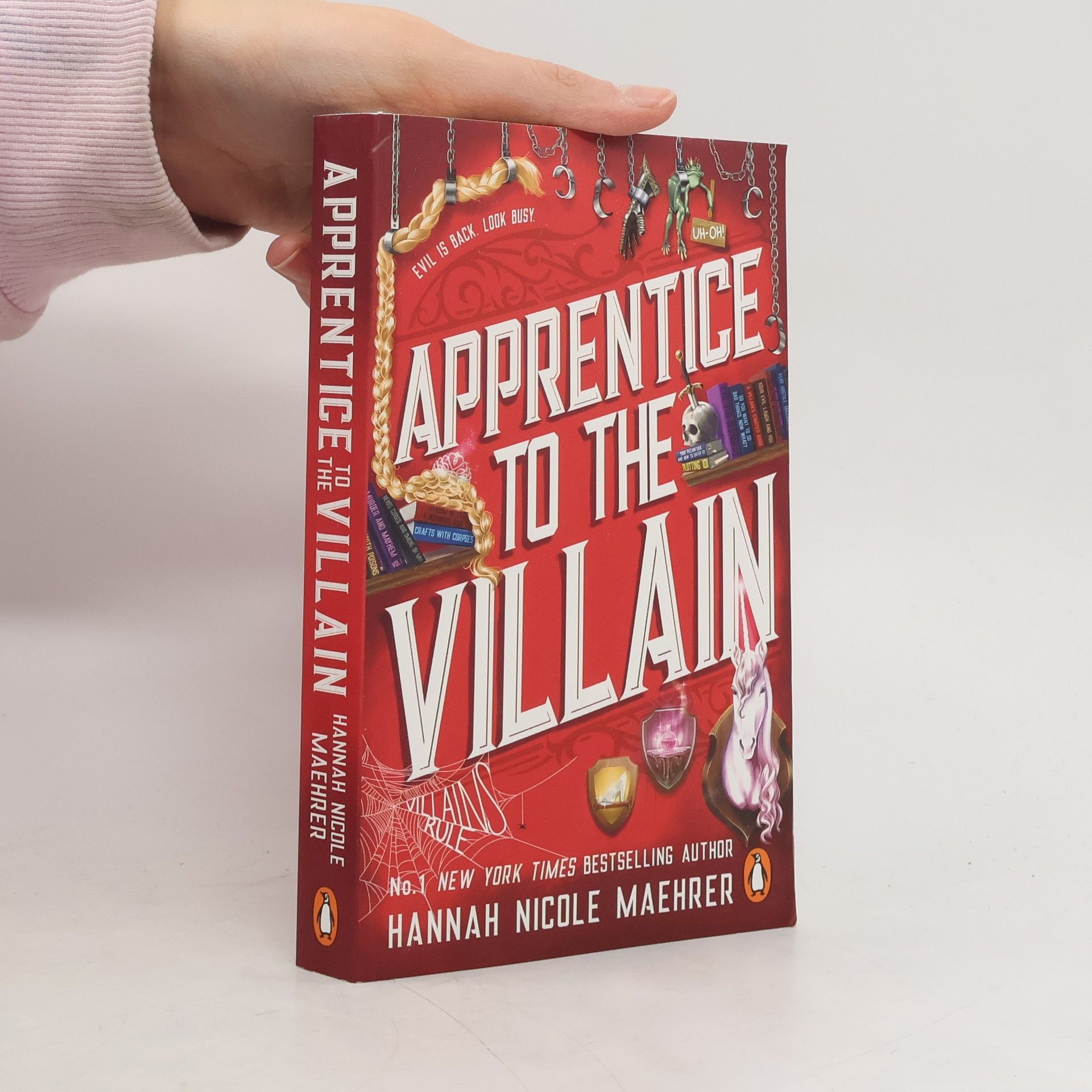 Apprentice to the Villain