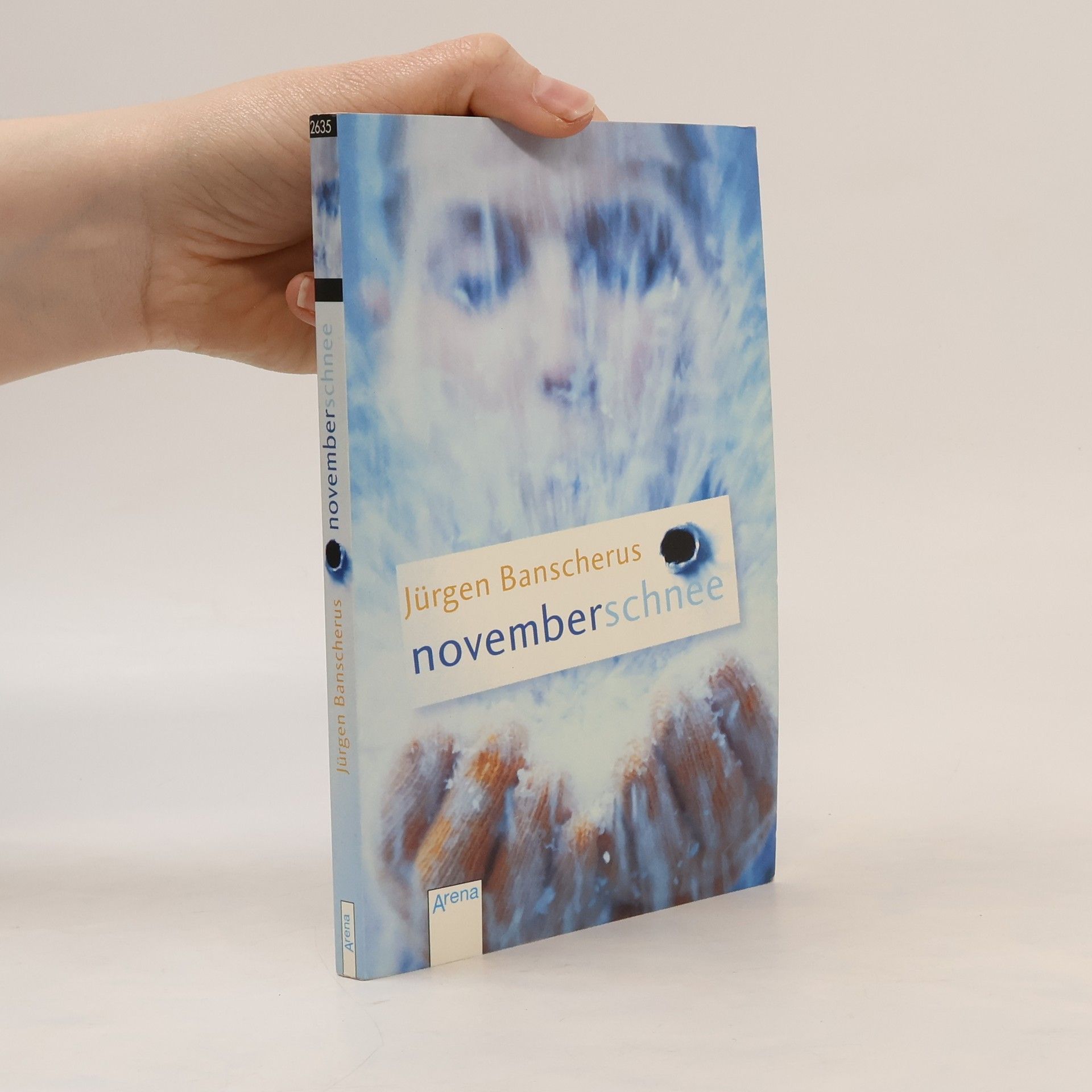 Jürgen Banscherus Novemberschnee