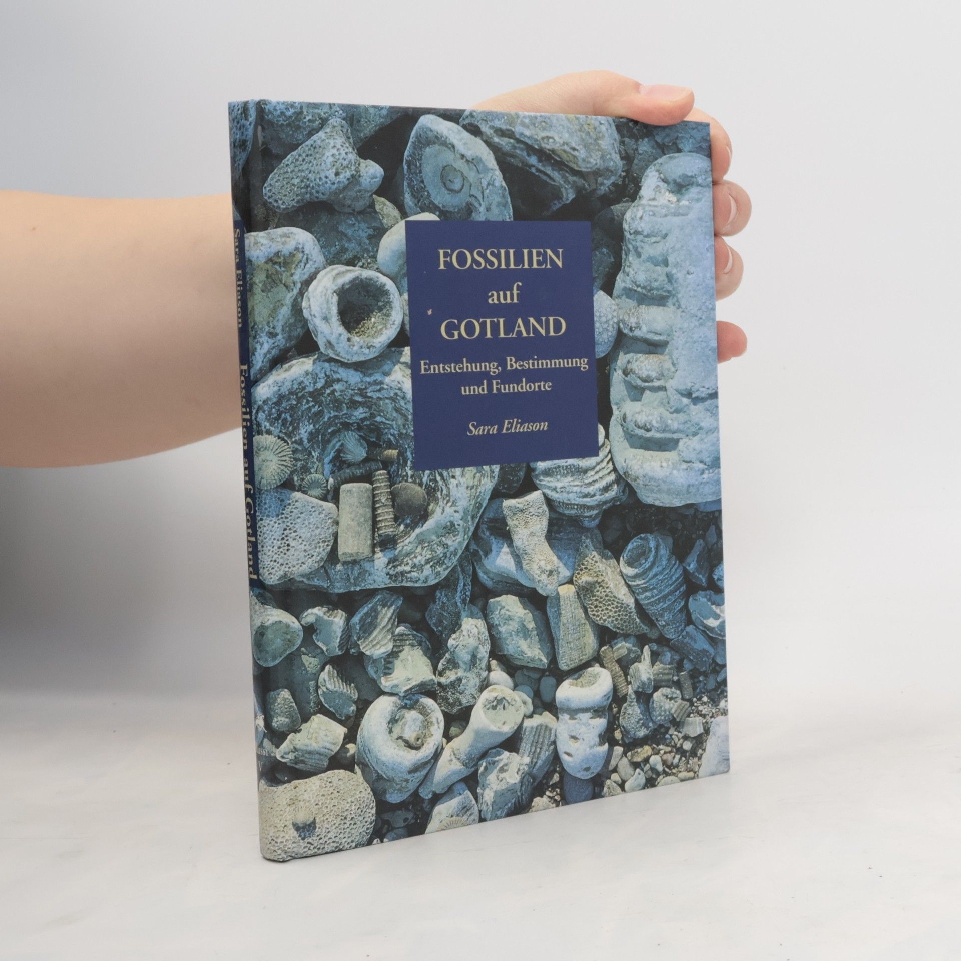 Göran Ström Fossilien auf Gotland