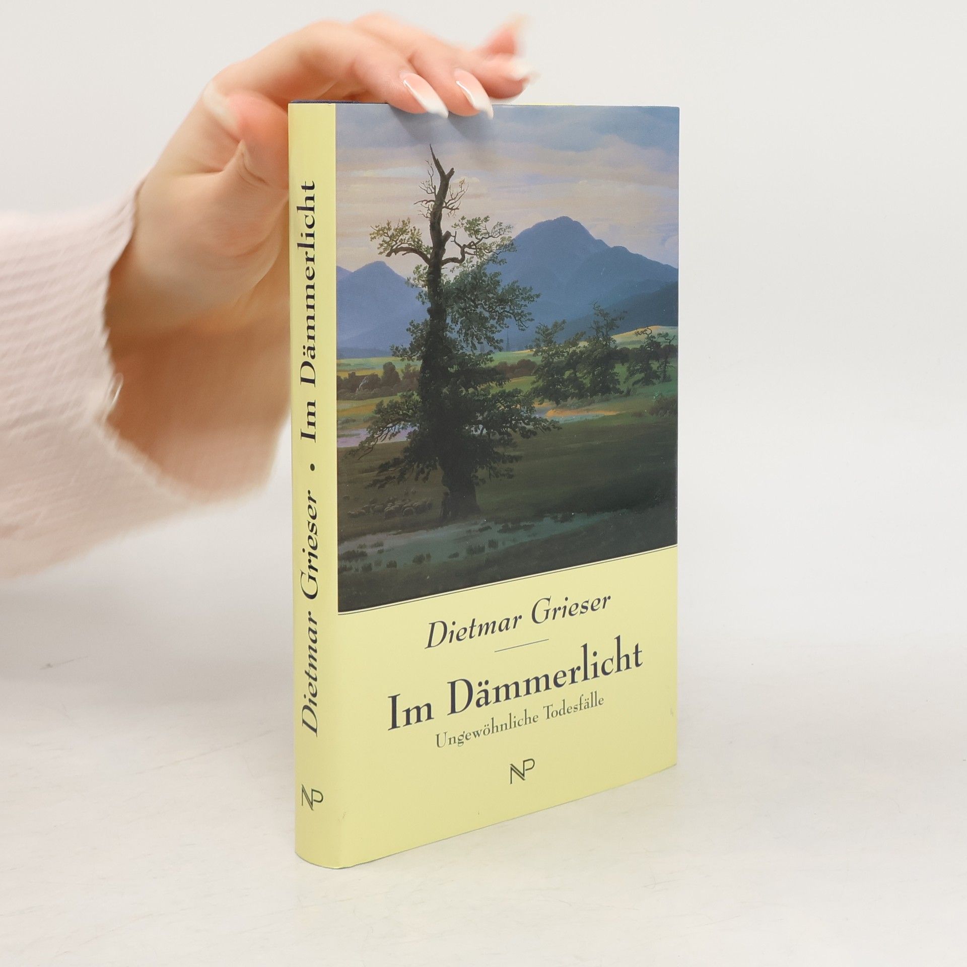 Dietmar Grieser Im Dämmerlicht