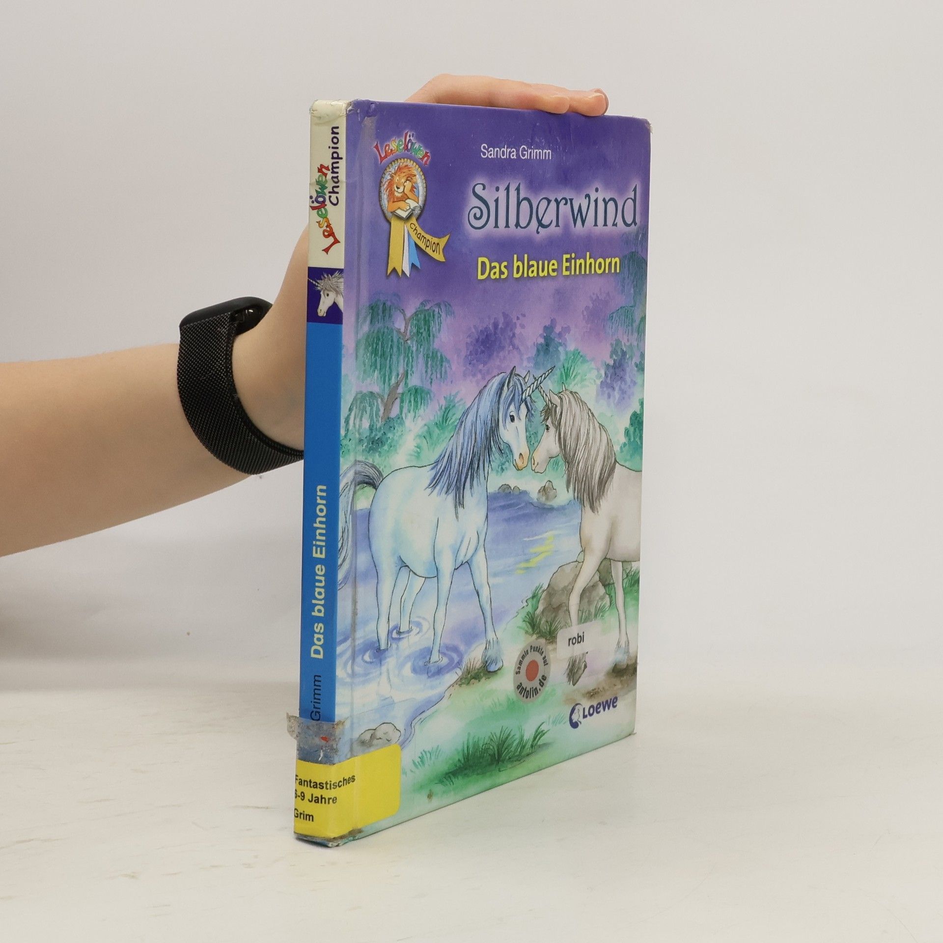 Silberwind – Das blaue Einhorn