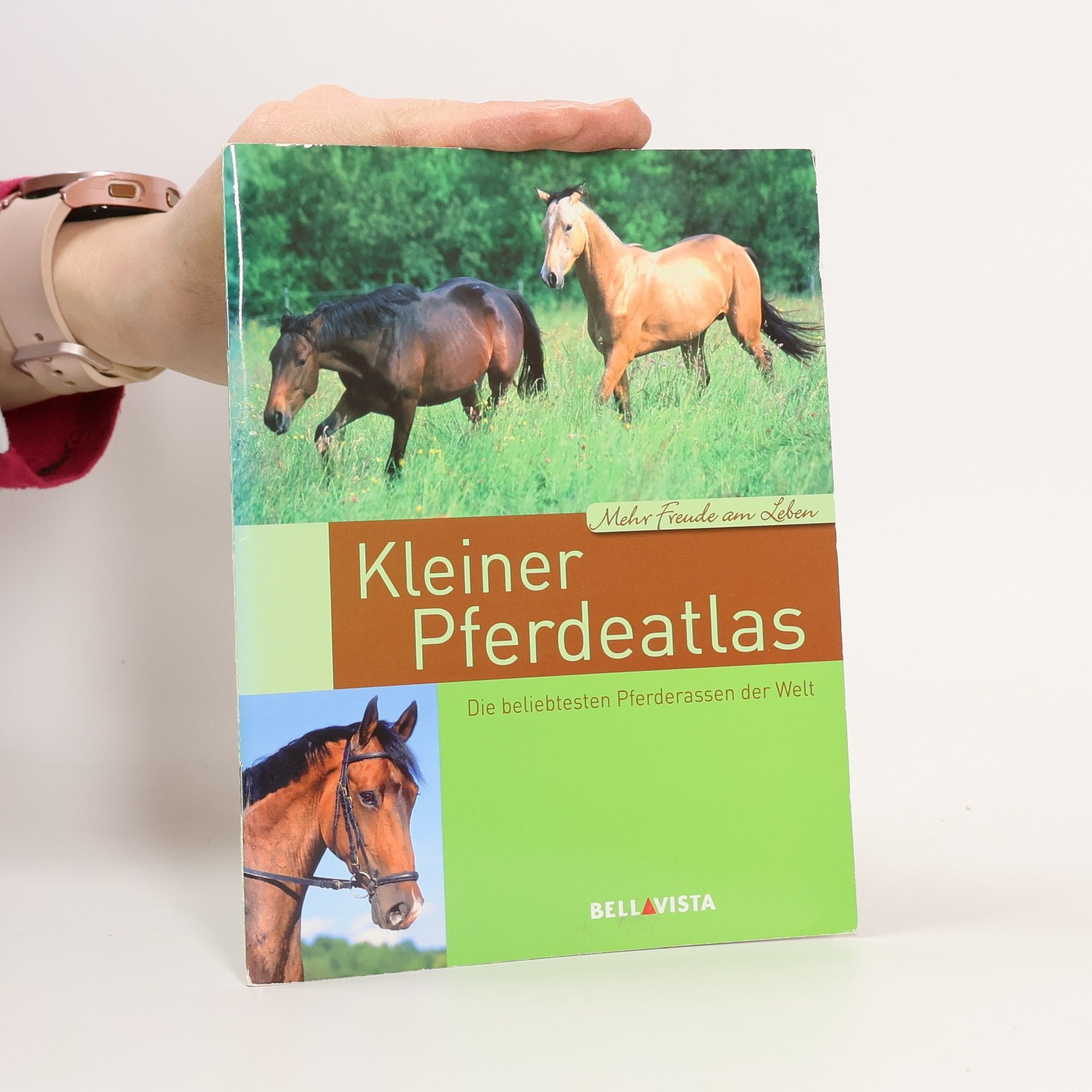 Autorenkollektiv Kleiner Pferdeatlas