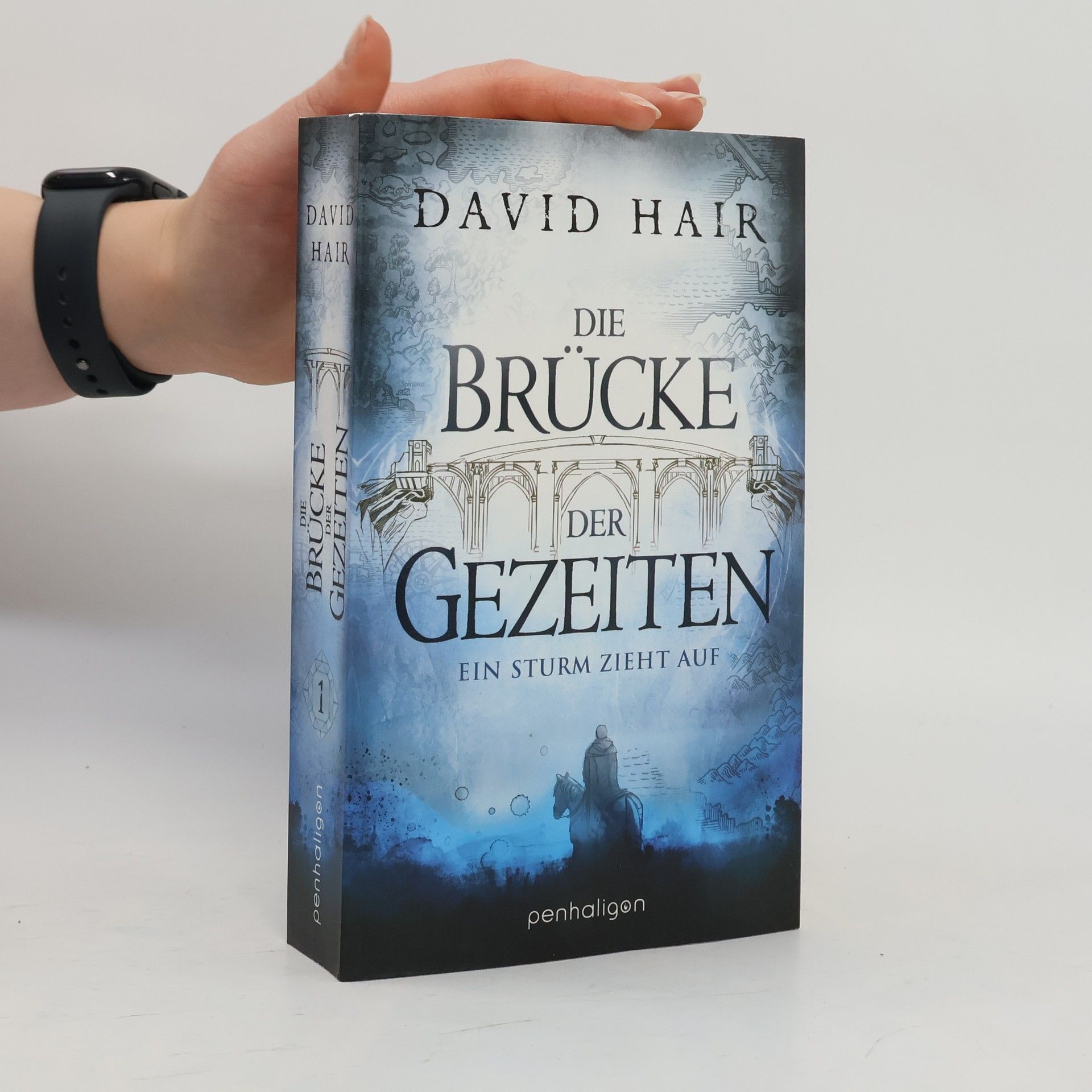 David Hair Die Brücke der Gezeiten 1