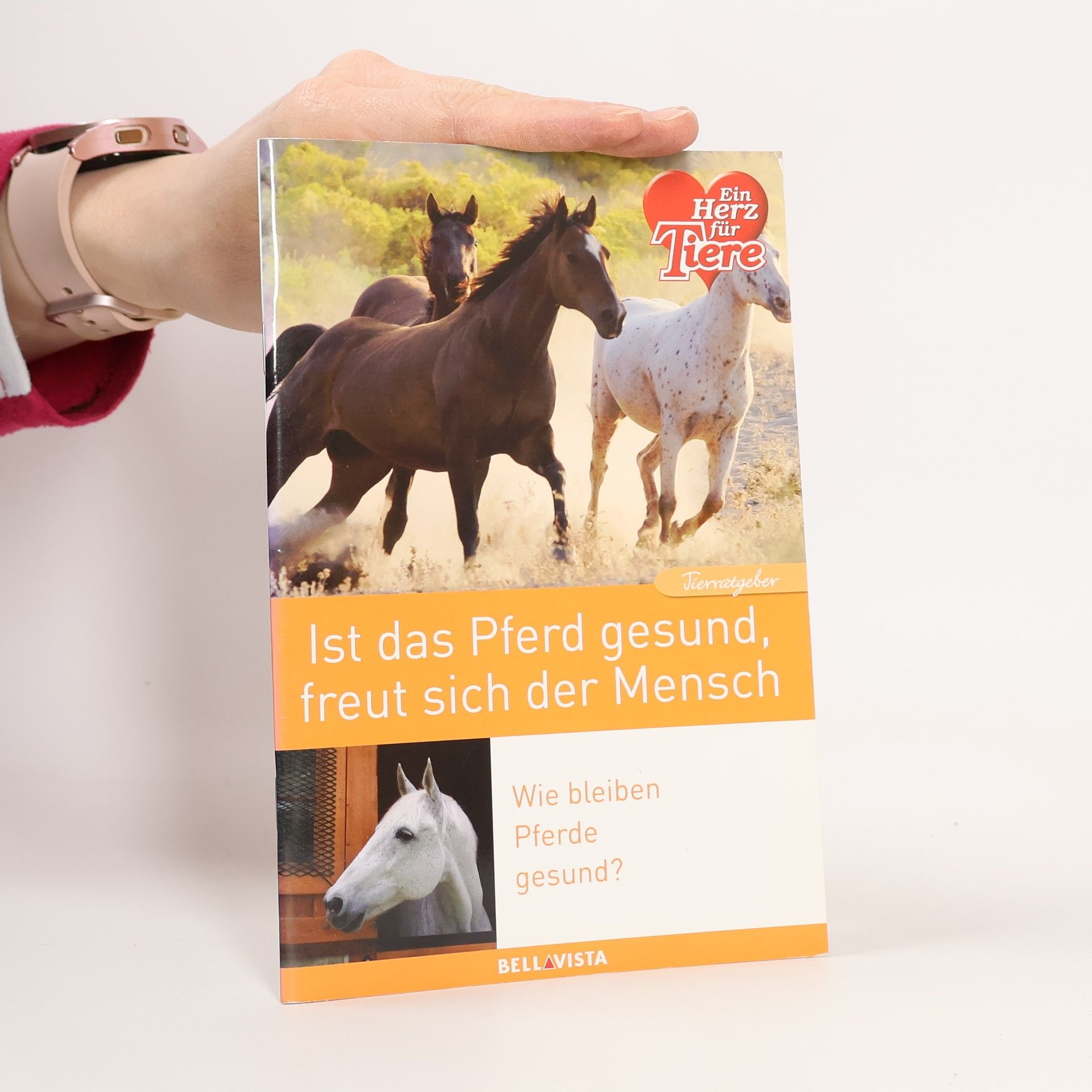 Autorenkollektiv Ist das Pferd gesund, freut sich der Mensch