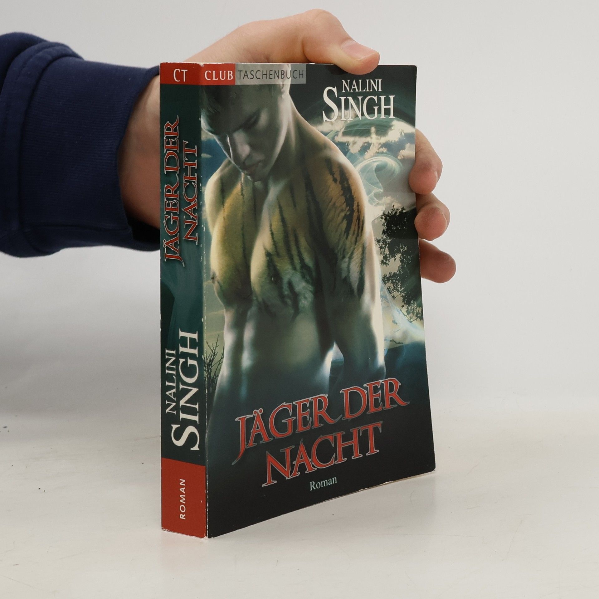 Nalini Singh Jäger der Nacht