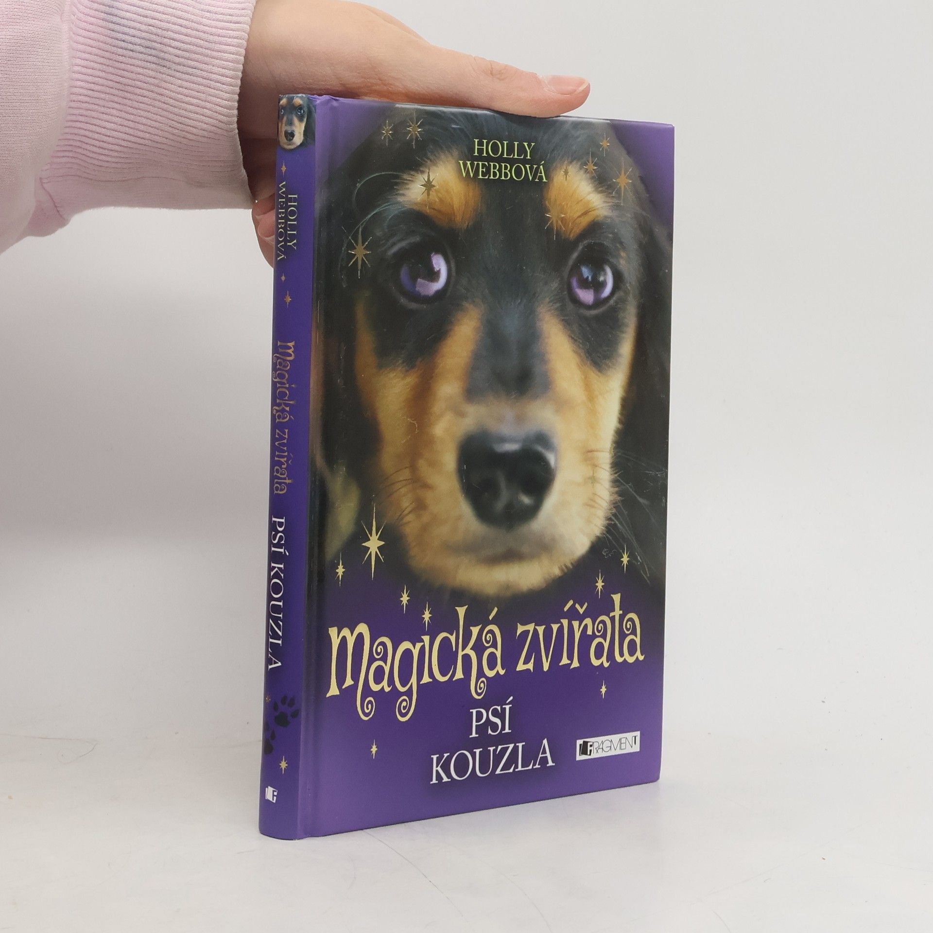 Holly Webb Magická zvířata. Psí kouzla