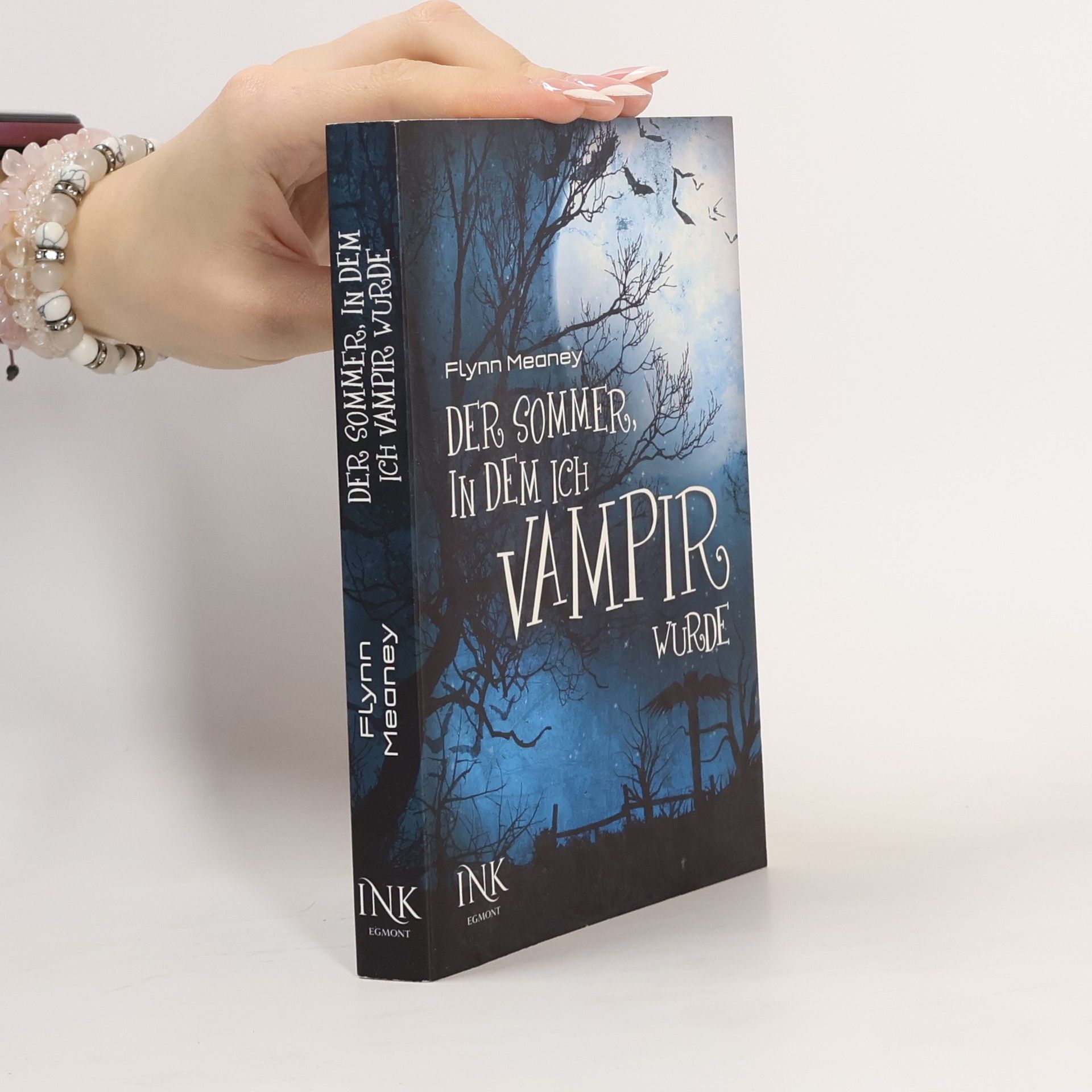 Flynn Meaney Der Sommer, in dem ich Vampir wurde