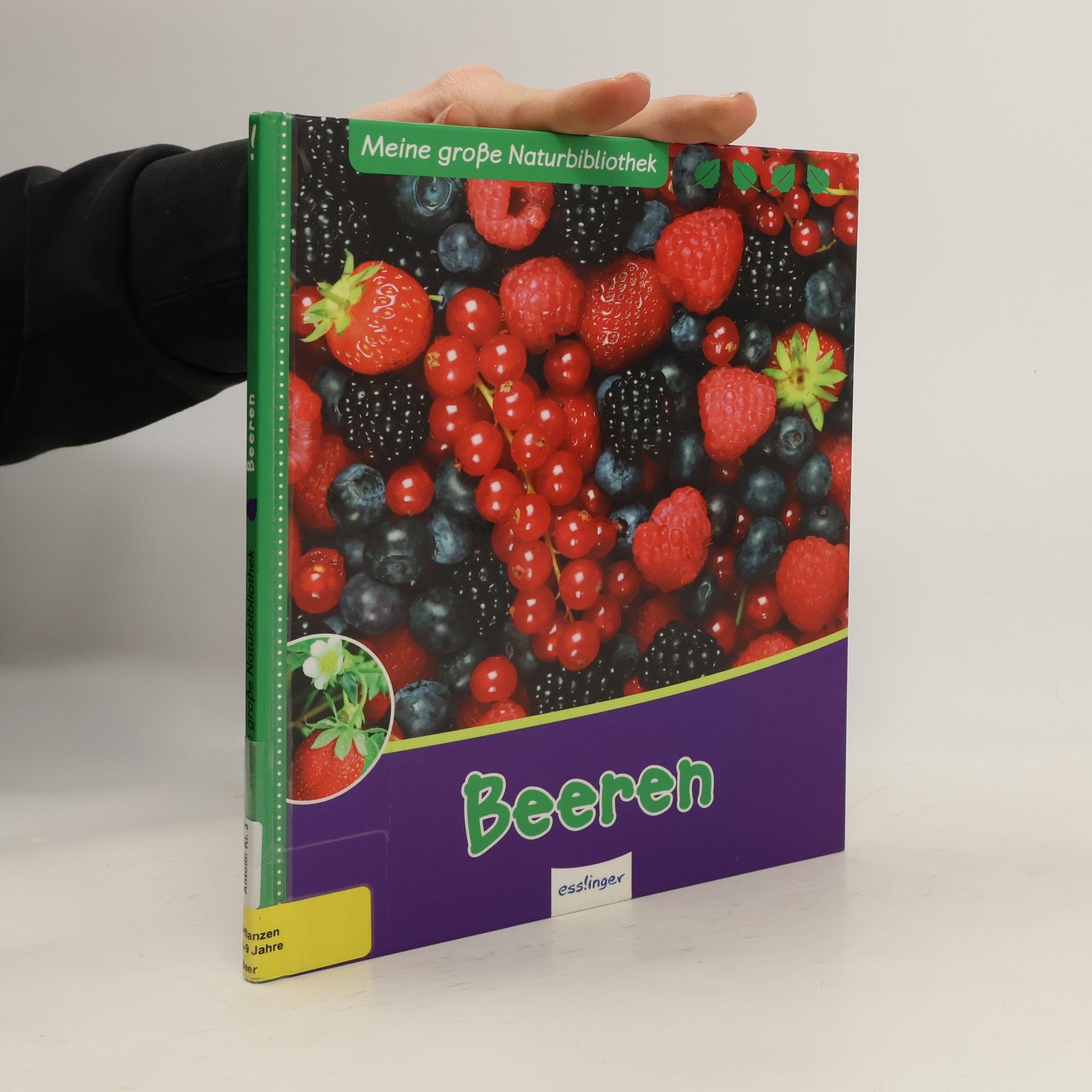 Stefanie Zysk Beeren