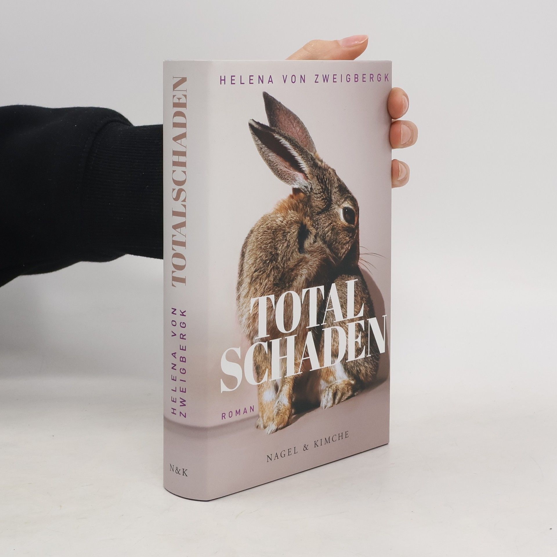 Helena von Zweigbergk Totalschaden