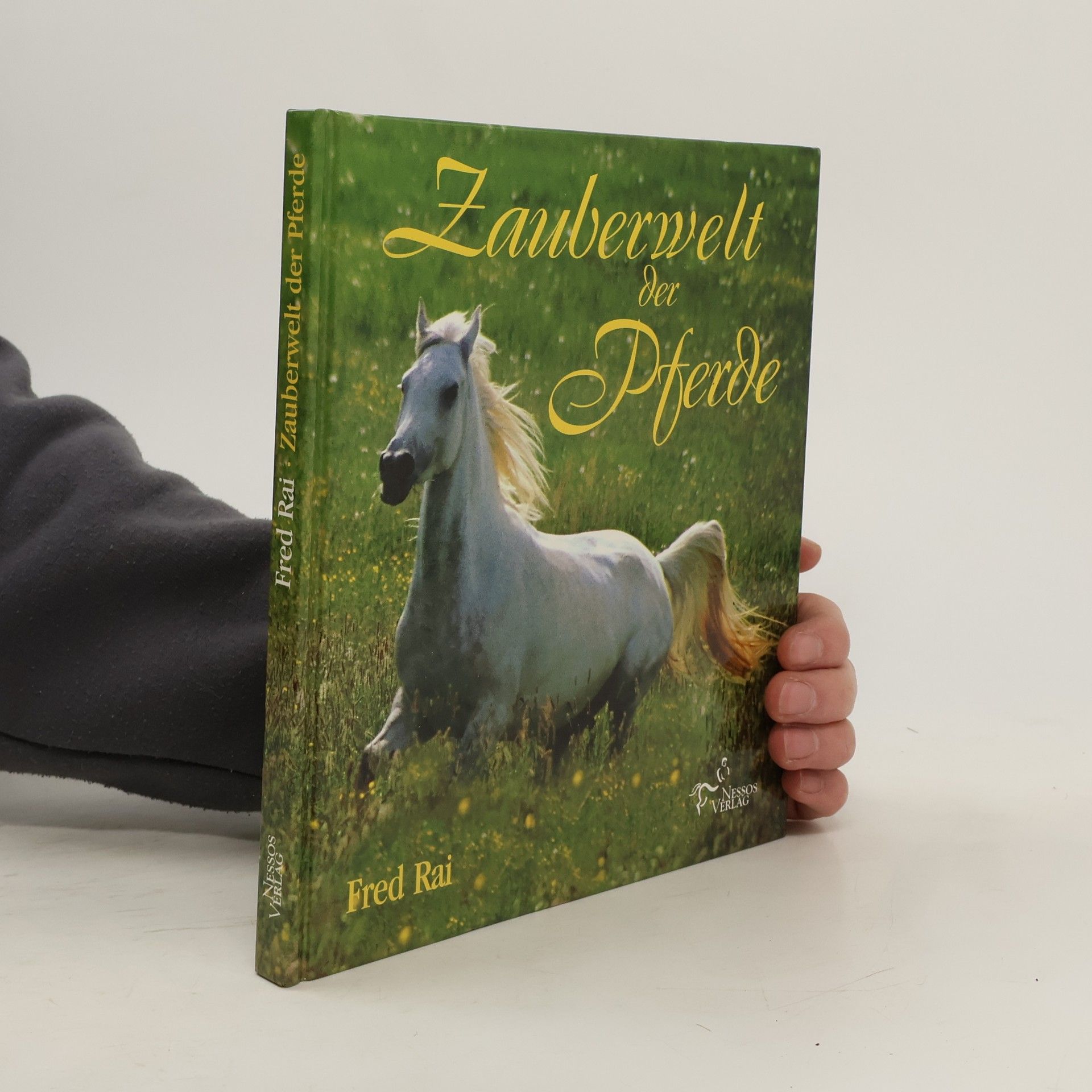 Zauberwelt der Pferde