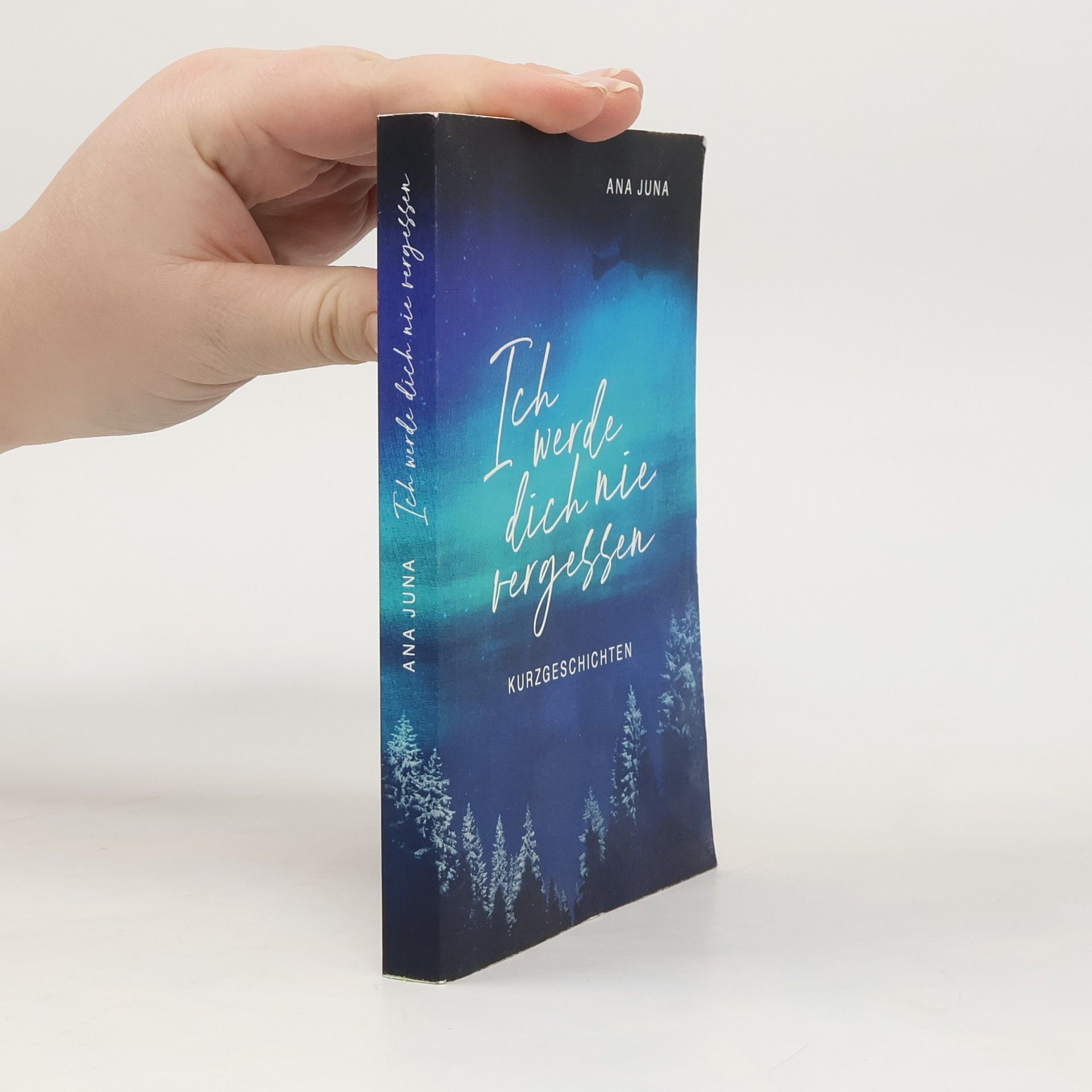 Ana Juna Ich werde dich nie vergessen