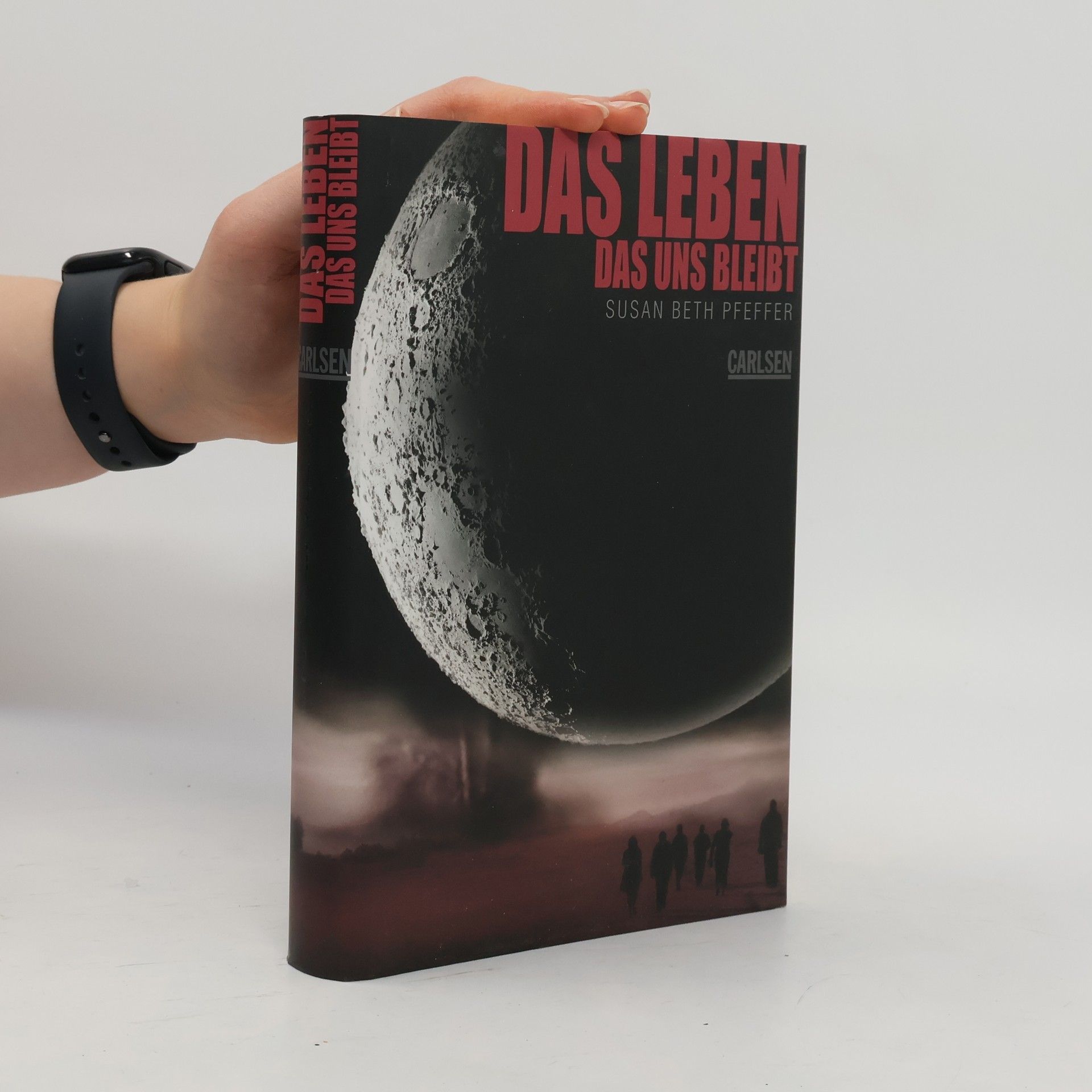 Susan Beth Pfeffer Das Leben, das uns bleibt