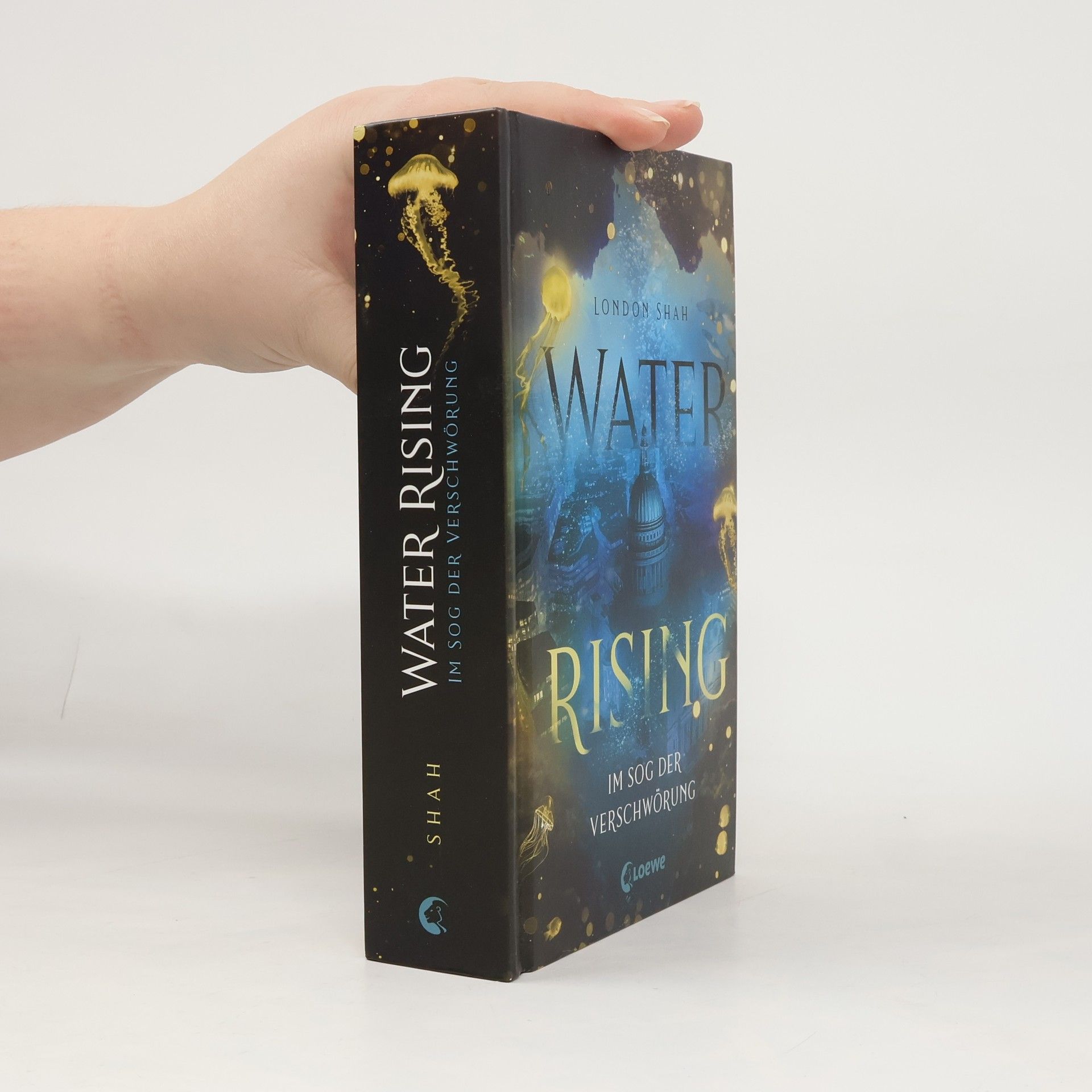 Water Rising (Band 2) - Im Sog der Verschwörung