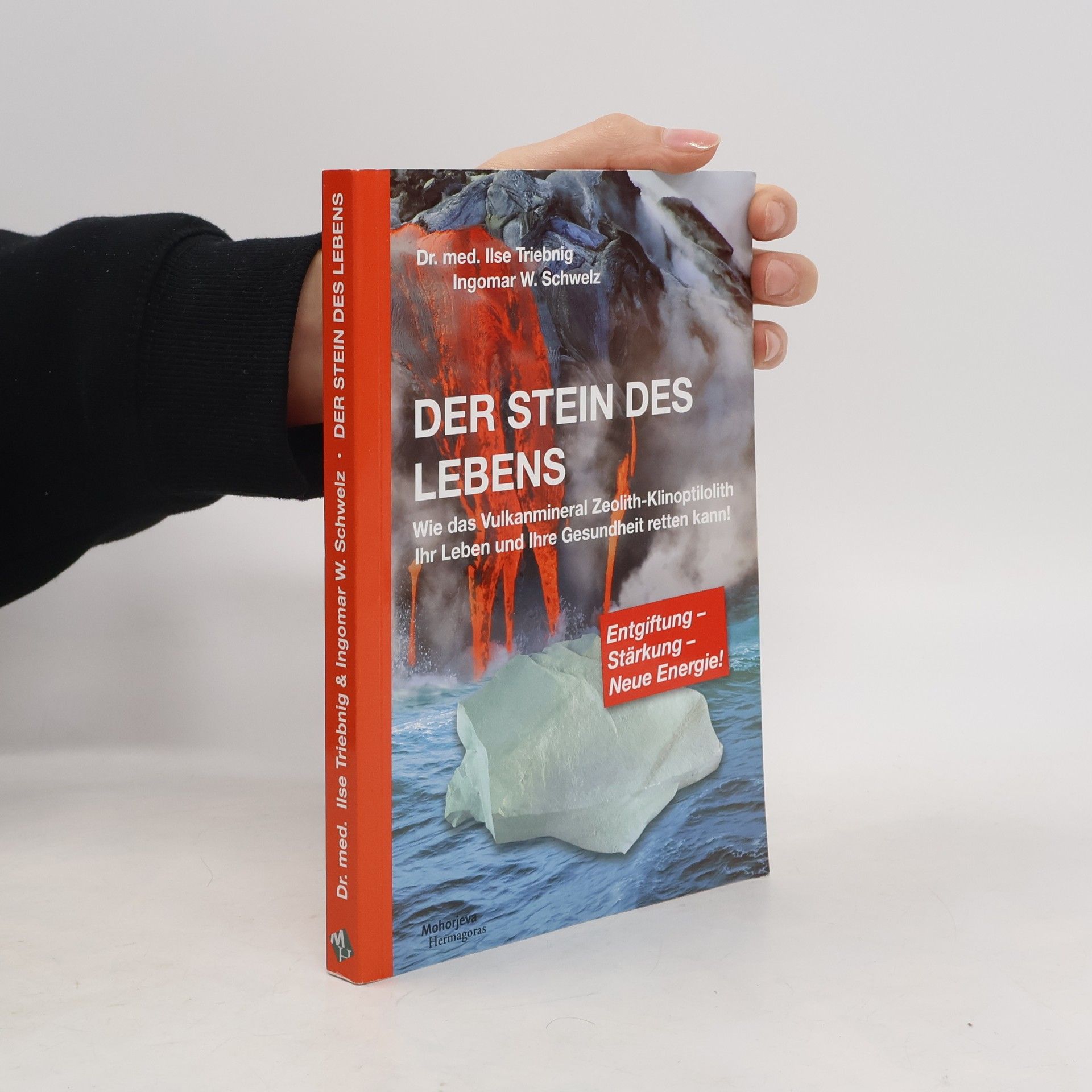 Ilse Triebnig Der Stein des Lebens