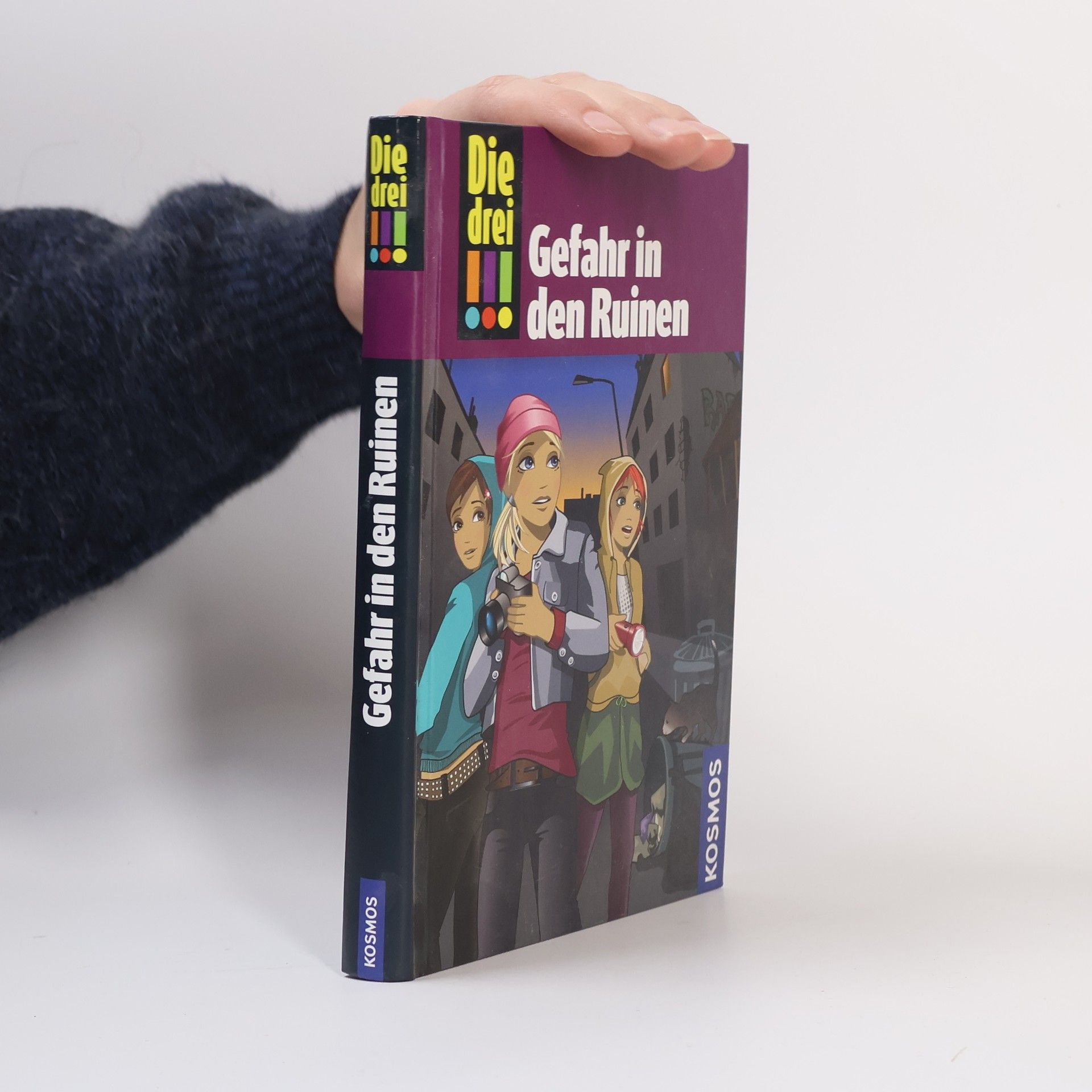 Maja von Vogel Gefahr in den Ruinen