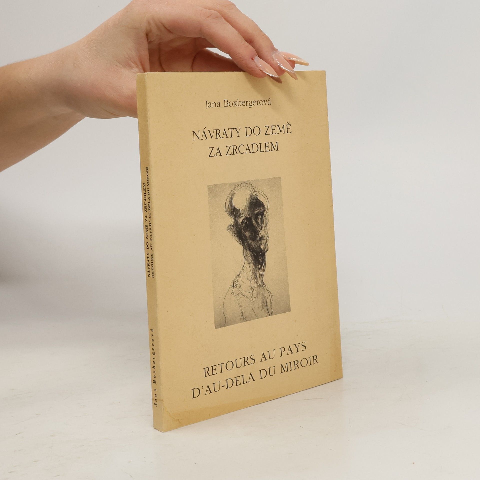 Jana Boxberger Návraty do země za zrcadlem. Retours au pays d'au-dela du miroir