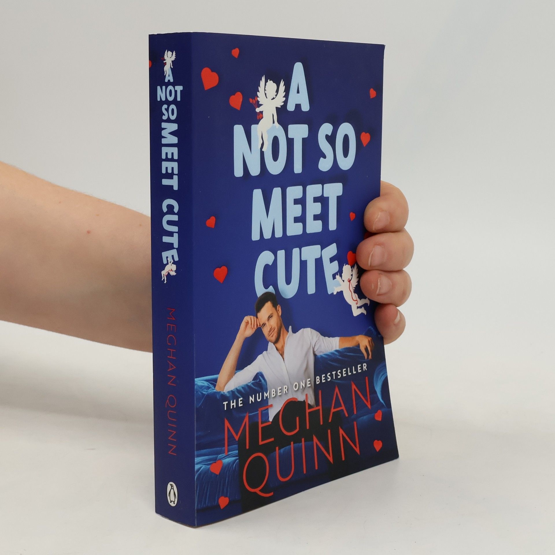 Meghan Quinn A Not So Meet Cute