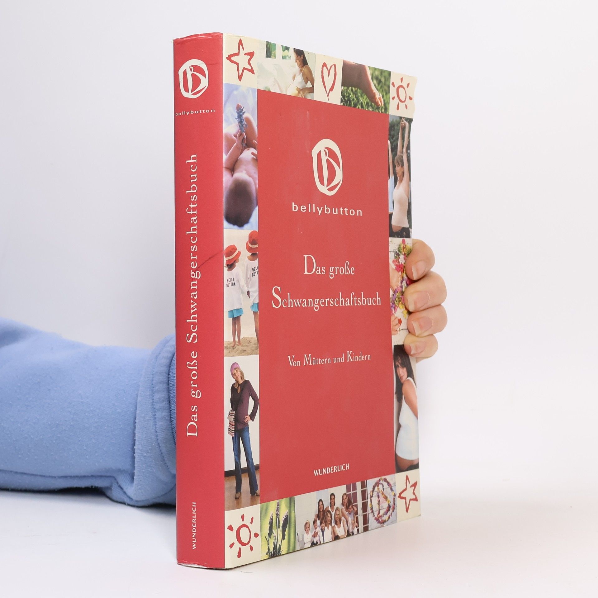 Das grosse Schwangerschaftsbuch