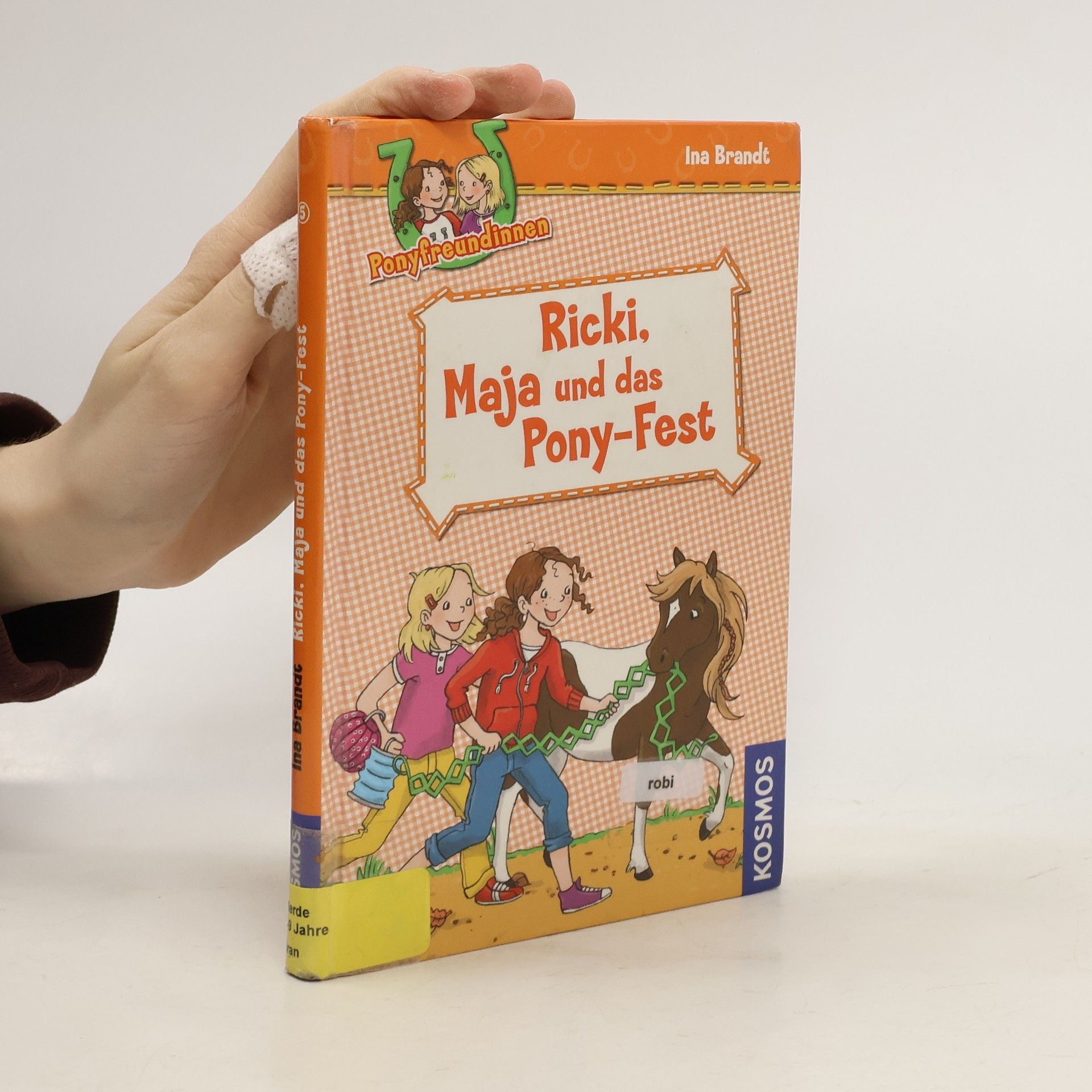 Ina Brandt Ponyfreundinnen - Ricki, Maja und das Pony-Fest. Band 5