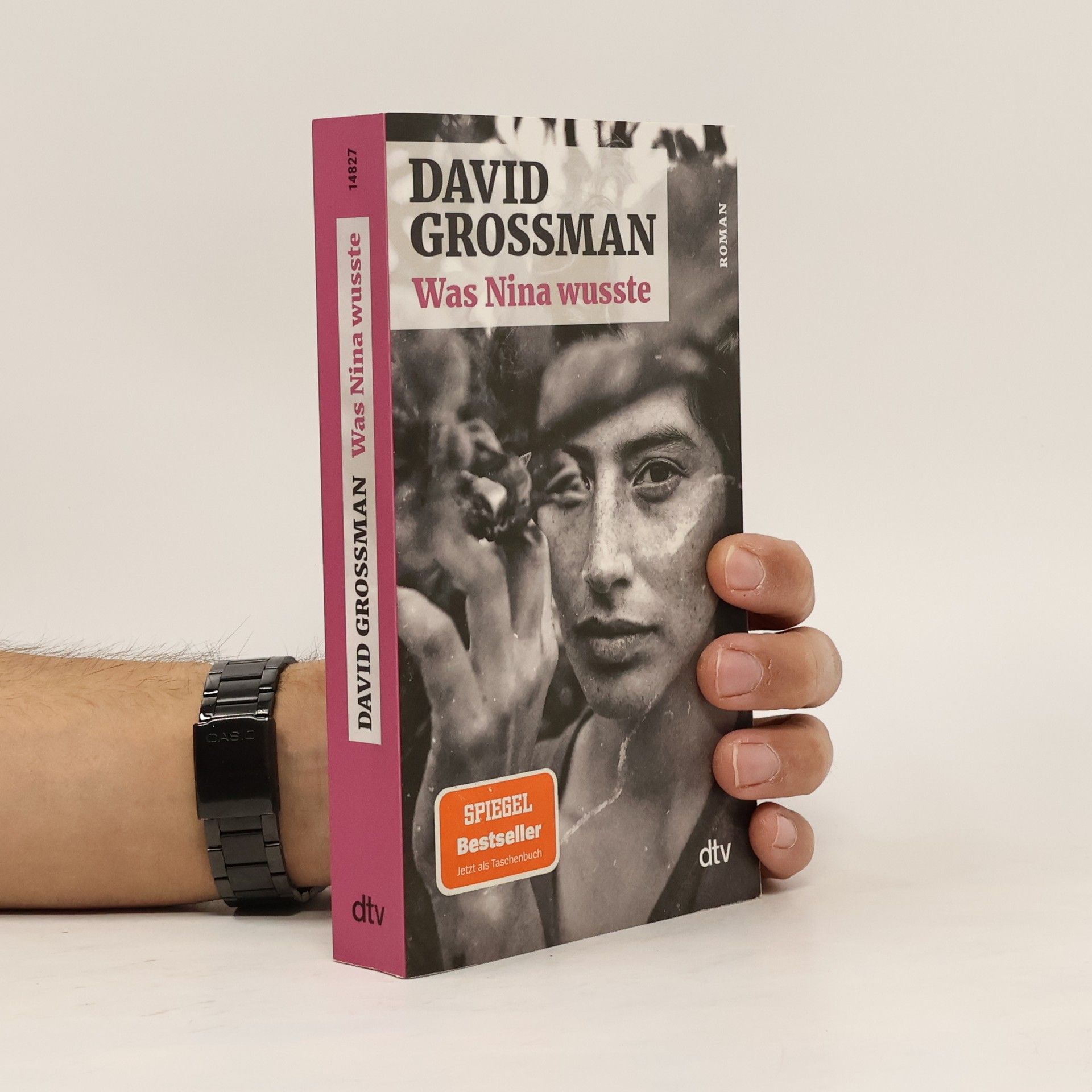 David Grossman Was Nina wusste