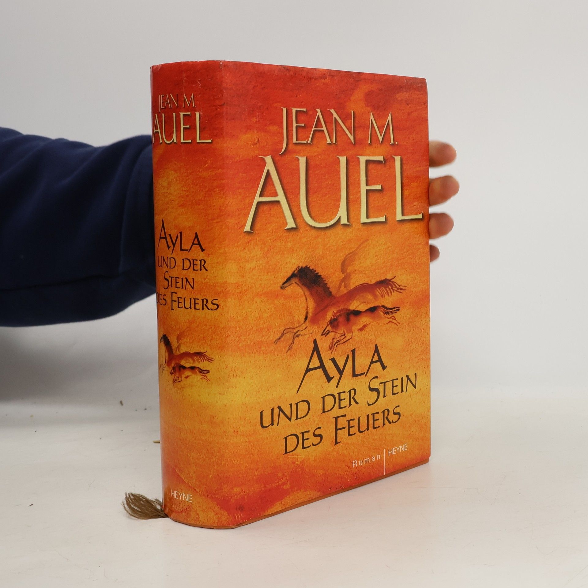 Ayla und der Stein des Feuers