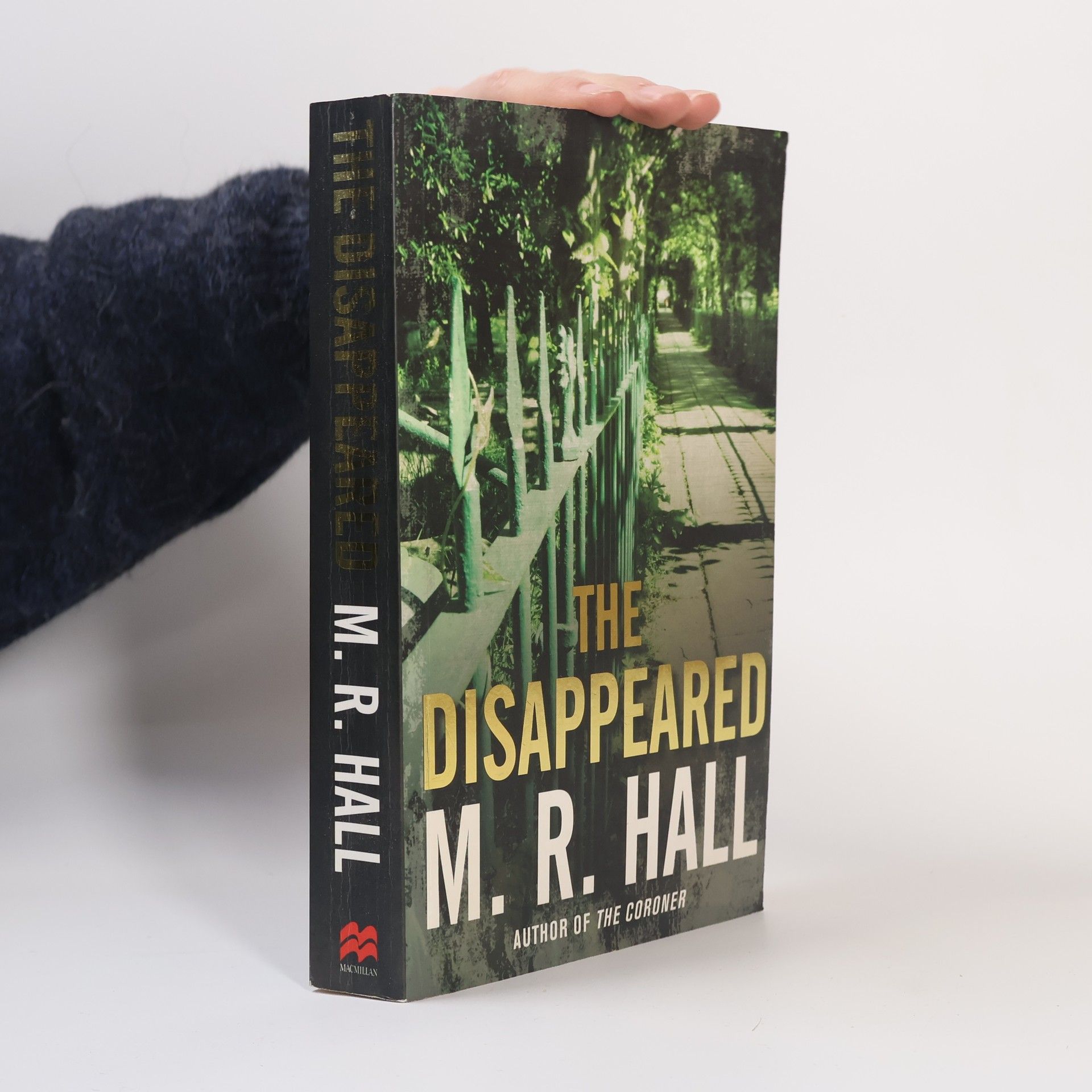 M. R. Hall The Disappeared