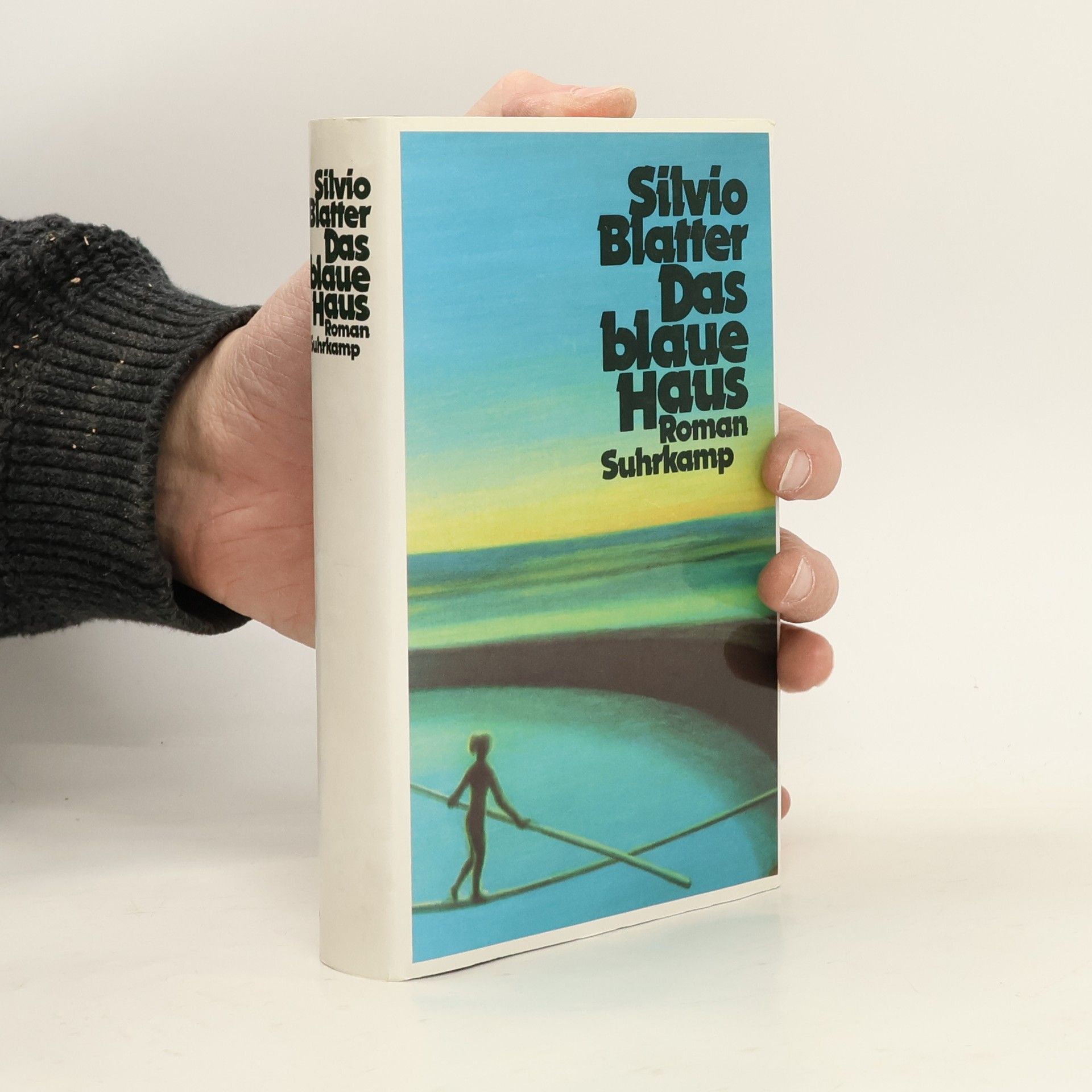 Silvio Blatter Das blaue Haus