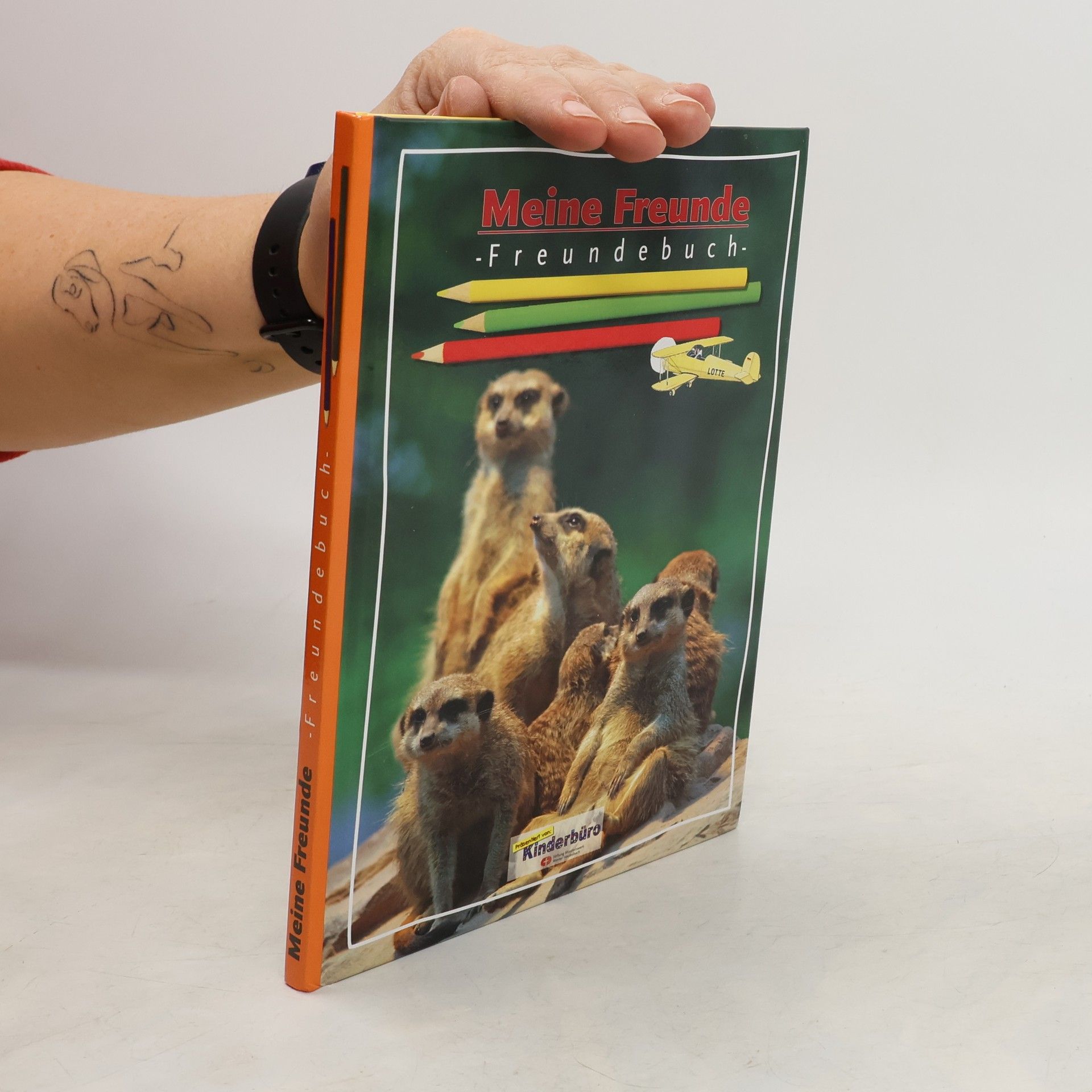 Kolektiv autorů Meine Freunde Freundebuch