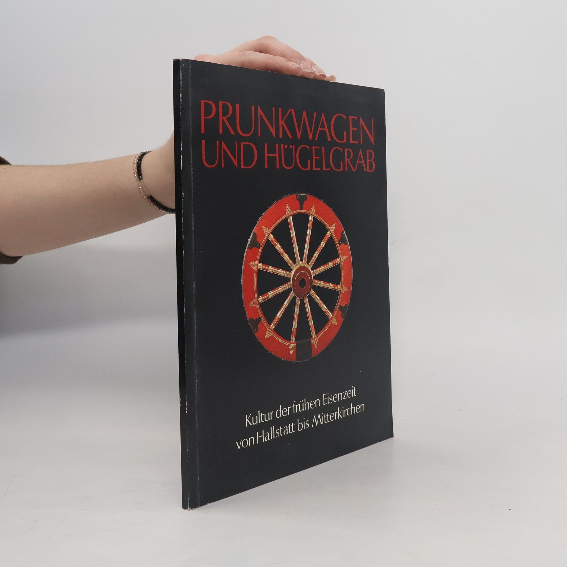 Collectif d'auteurs Prunkwagen und Hügelgrab