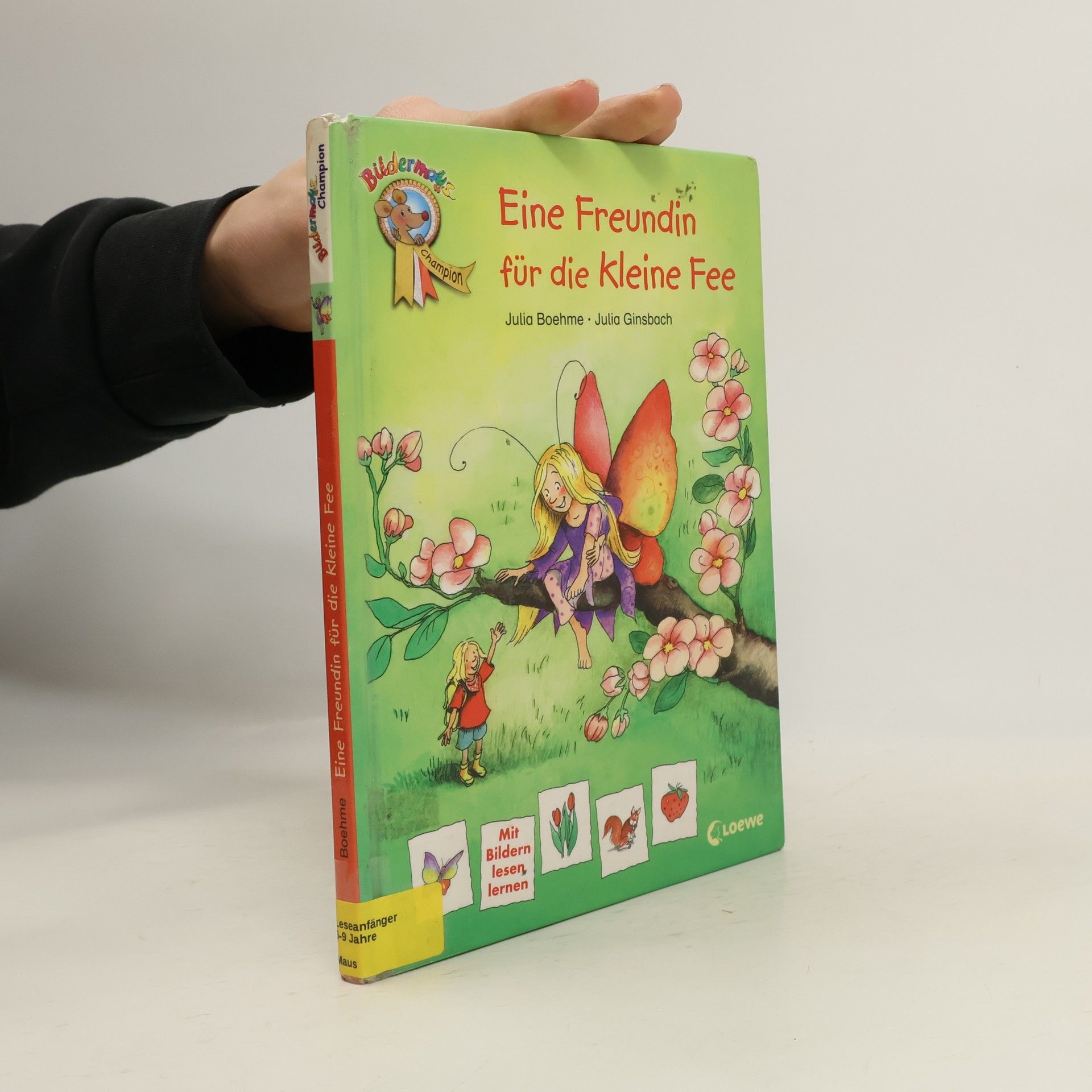 Julia Boehme Eine Freundin für die kleine Fee
