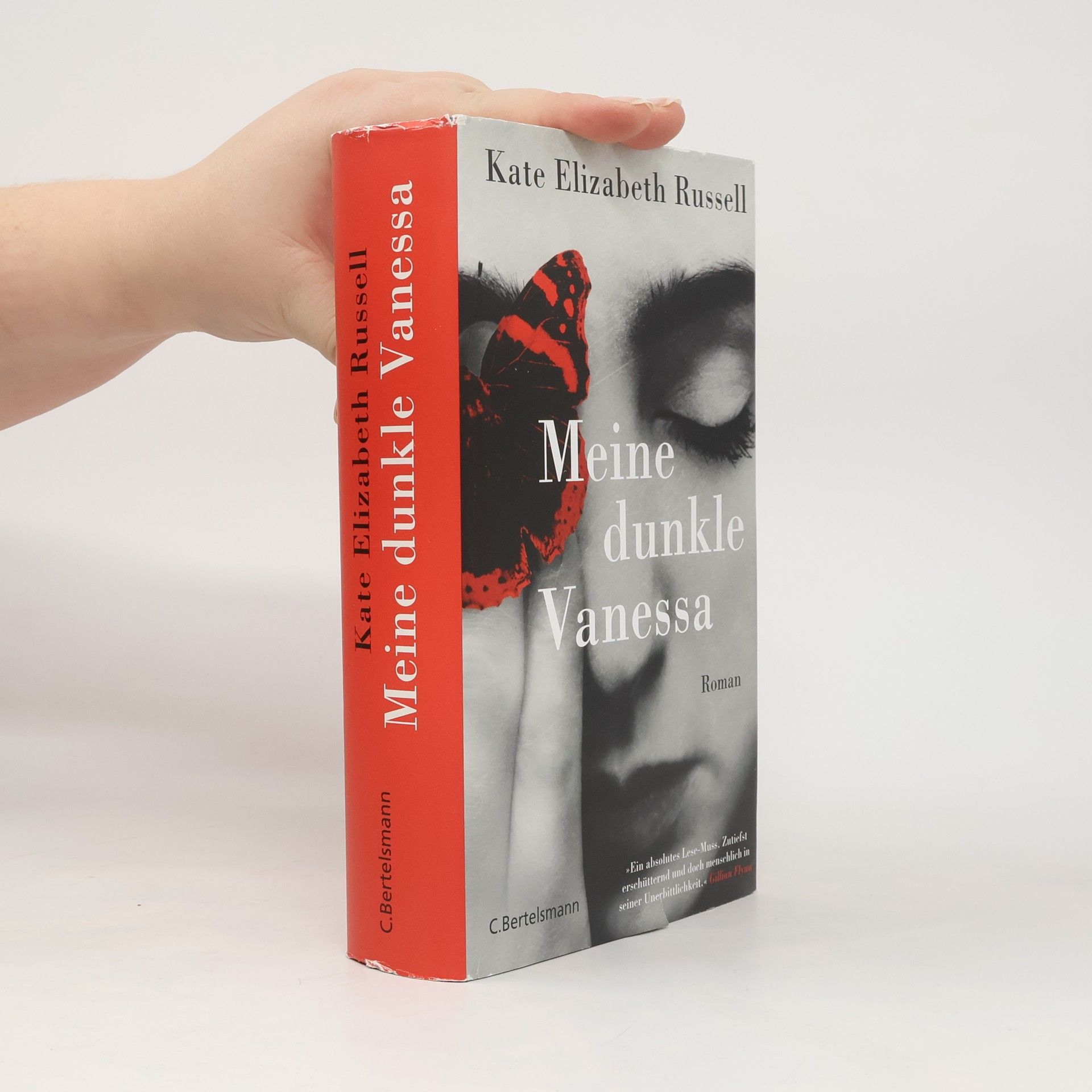 Kate Elizabeth Russell Meine dunkle Vanessa